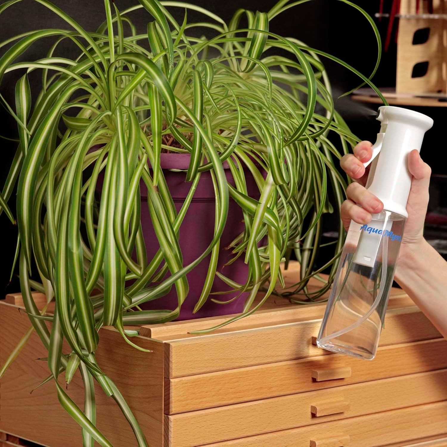 Creative Mark Aquamyst 300 Ml Continuous Mist Spray Bottle - 2-Pack - Ergonomic Plant Mister - Water Mister Spray Bottle W/Pre-Compression Technology, Drip-Free 0.3 Mm Nozzle, Clear 10.14 Oz Bottles image number 6