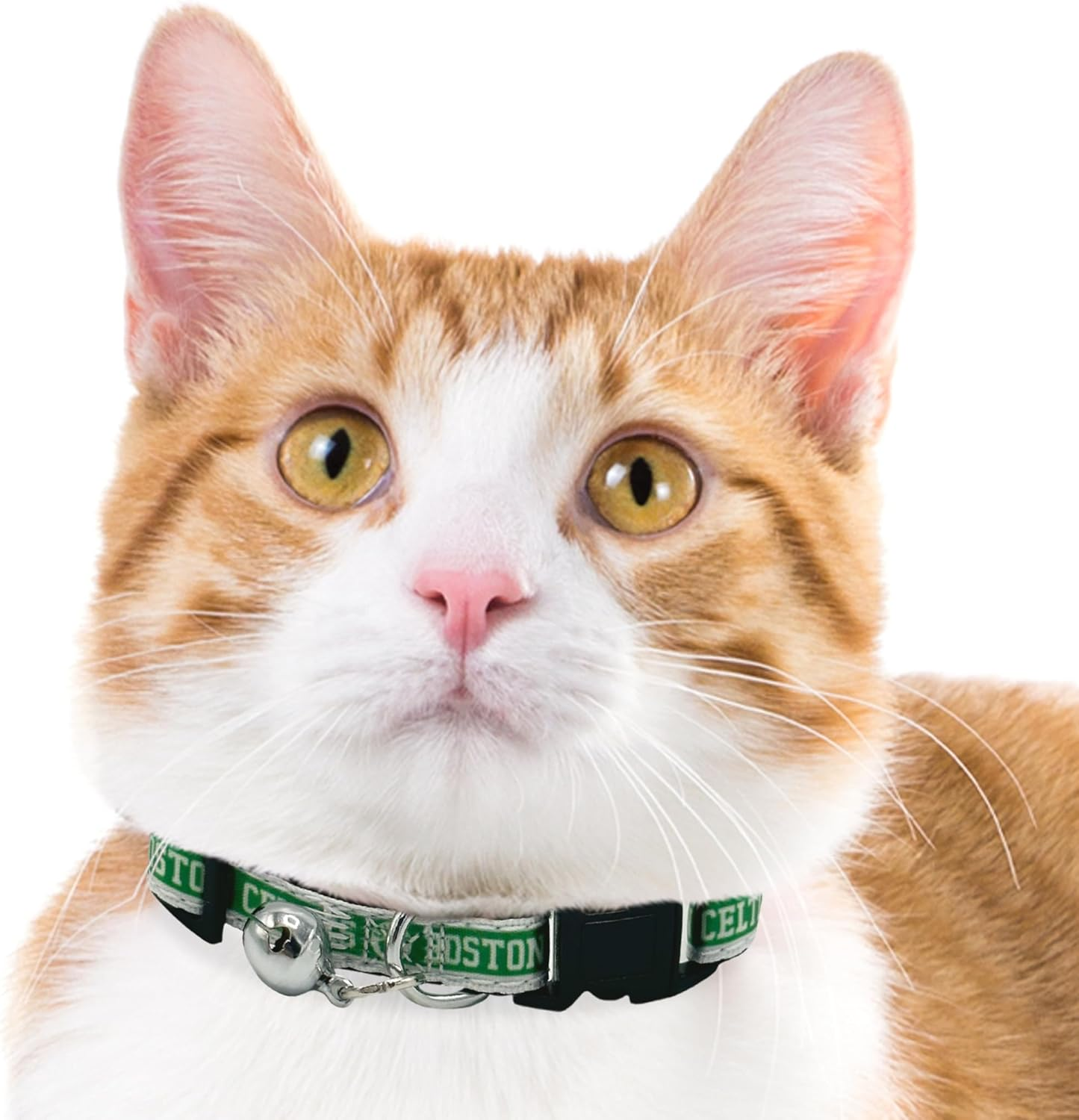 NBA BOSTON CELTICS CAT COLLAR Adjustable Break-Away COLLAR for CATS with Licensed Team Name & Logo. Cute & Fashionable Basketball Sports Cat Collar with Metal Jingle Bell