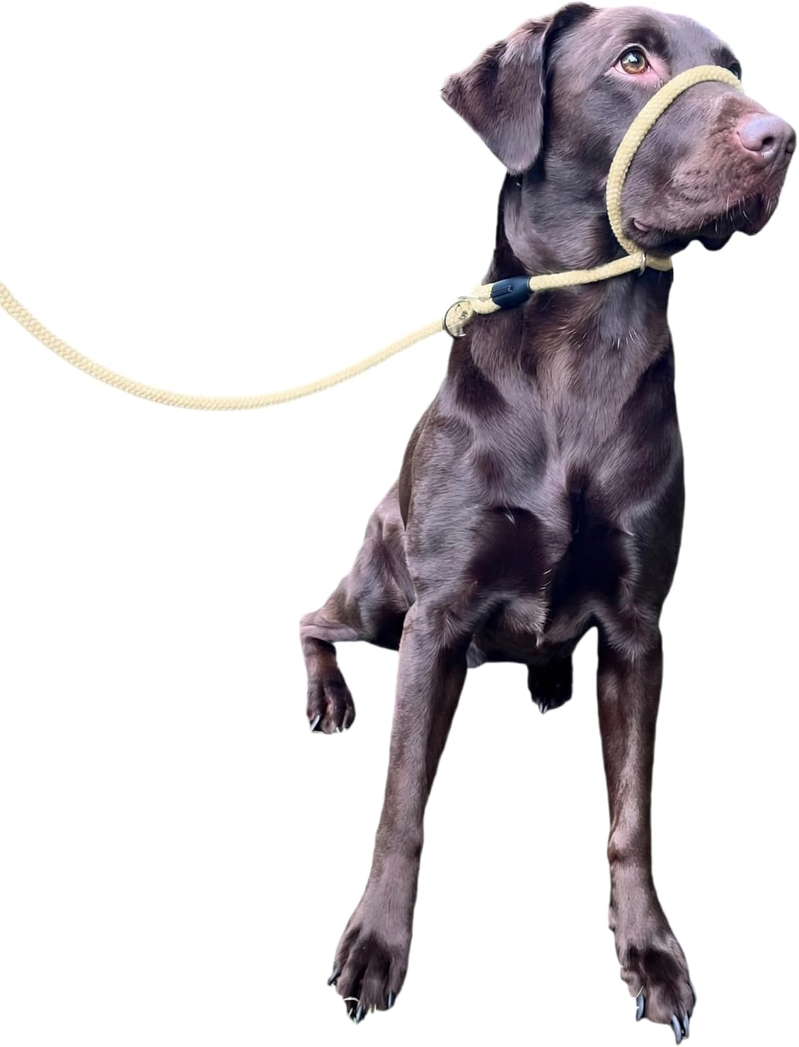 No More Pulling! anti Pull Lead Field Figure 8 / Halter/Head Collar One Size Fits All Super Soft Braided Nylon Comfortable Make Your Walks More Enjoyable -Instructions Included (Pink)