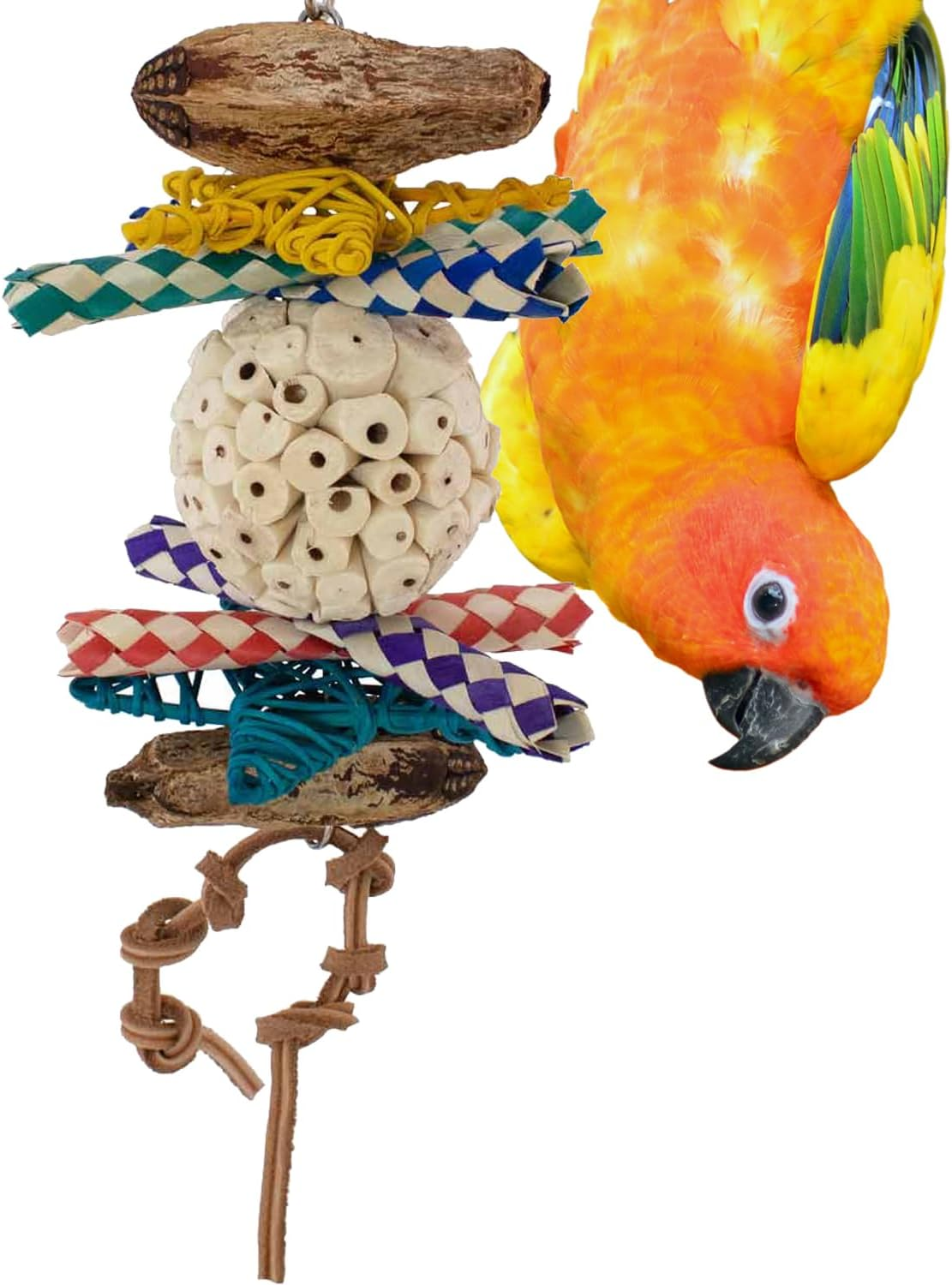 Super Bird Creations SB1240 Sola Ball Delight Bird Toy - Easy to Chew Sola and Mahogany Pods - Handcrafted Bird Activities Designed for Ringnecks, Medium Conures, Caiques - Ideal for Medium Bird Size image number 5