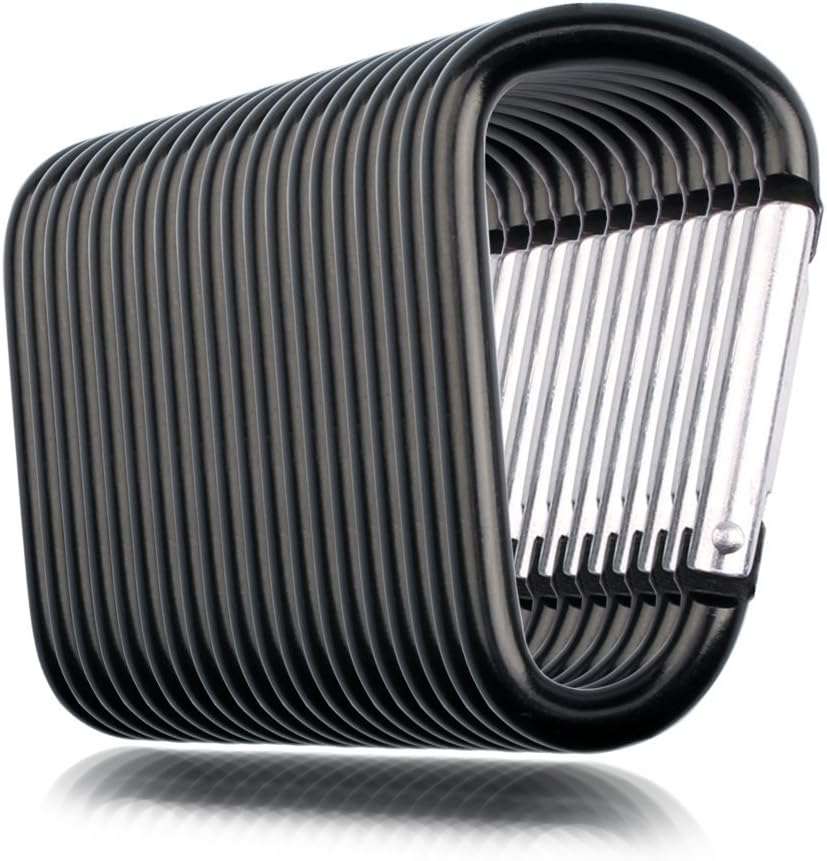 SAMLOO 20 Pack 2.5" D Shape Aluminum Large Carabiner Clip Lock Hooks Spring Snap Keychain Durable Spring-Loaded Gate Carabiners for Home, Outdoor, Sports Backpack