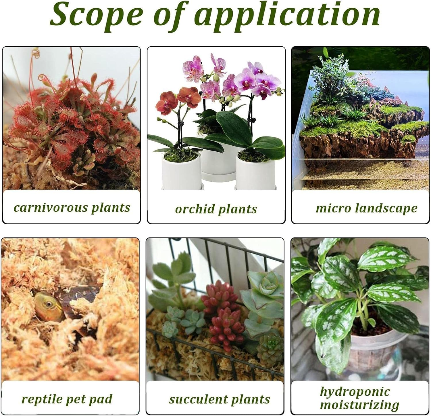 Natural Sphagnum Moss,Orchid Potting Mix | Natural Orchid Potting Mix, Perfect for Rooting Plants and Cuttings Kuitgh - 5 Pcs Standard image number 5