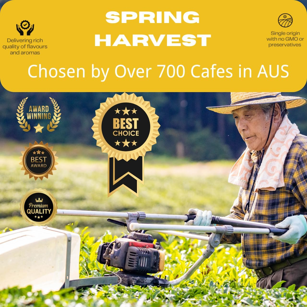 Matcha Green Tea Powder - Authentic Japanese Origin from Uji - Japan T% Everyday Matcha - Classic Culinary Suigyoku&trade; 50G - for Lattes, Smoothies and Baking image number 6