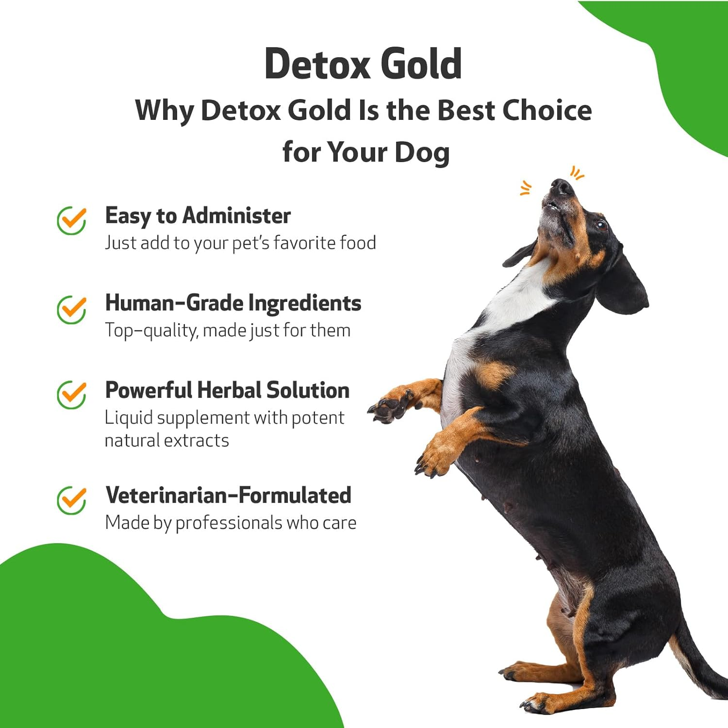 Pet Wellbeing Detox Gold for Dogs - Vet-Formulated - Gentle Detoxification & Elimination Support - Natural Herbal Supplement 2 Oz (59 Ml) image number 6