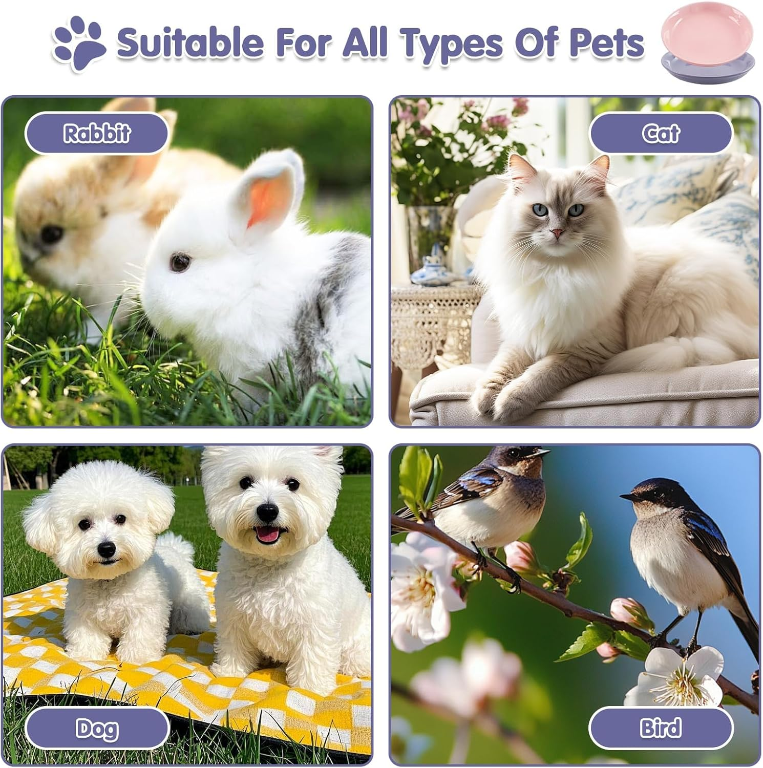 Cat Bowl Ceramic Set, 2 Pieces Flat Feeding Bowl for Cats and Kittens, Anti-Whisker Fatigue Cat Bowl to Protect Whiskers, Hygienic Cat Plate for Food and Water (15 X 3 Cm) image number 2