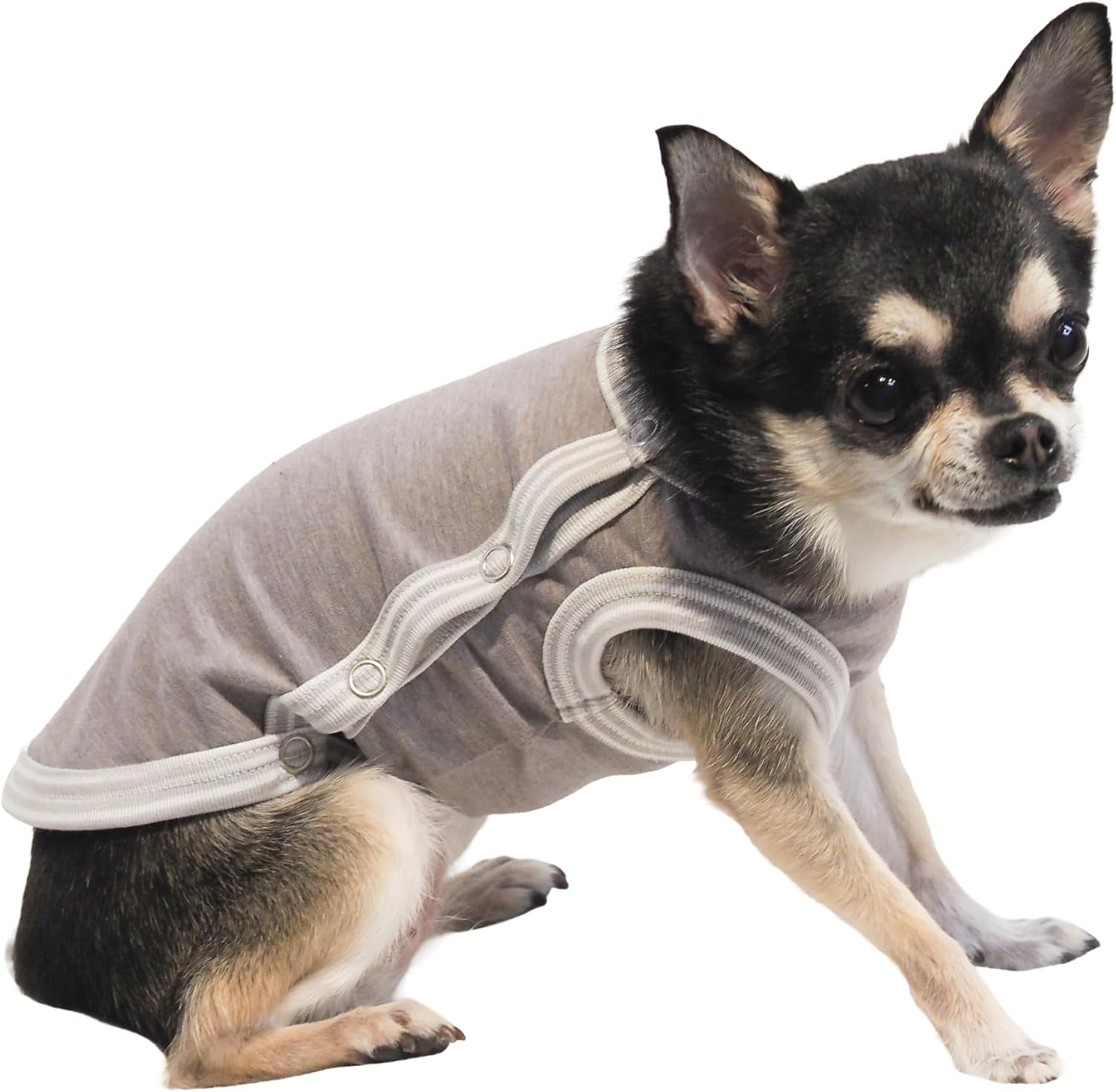 Couture Dog Clothes, S/Gray
