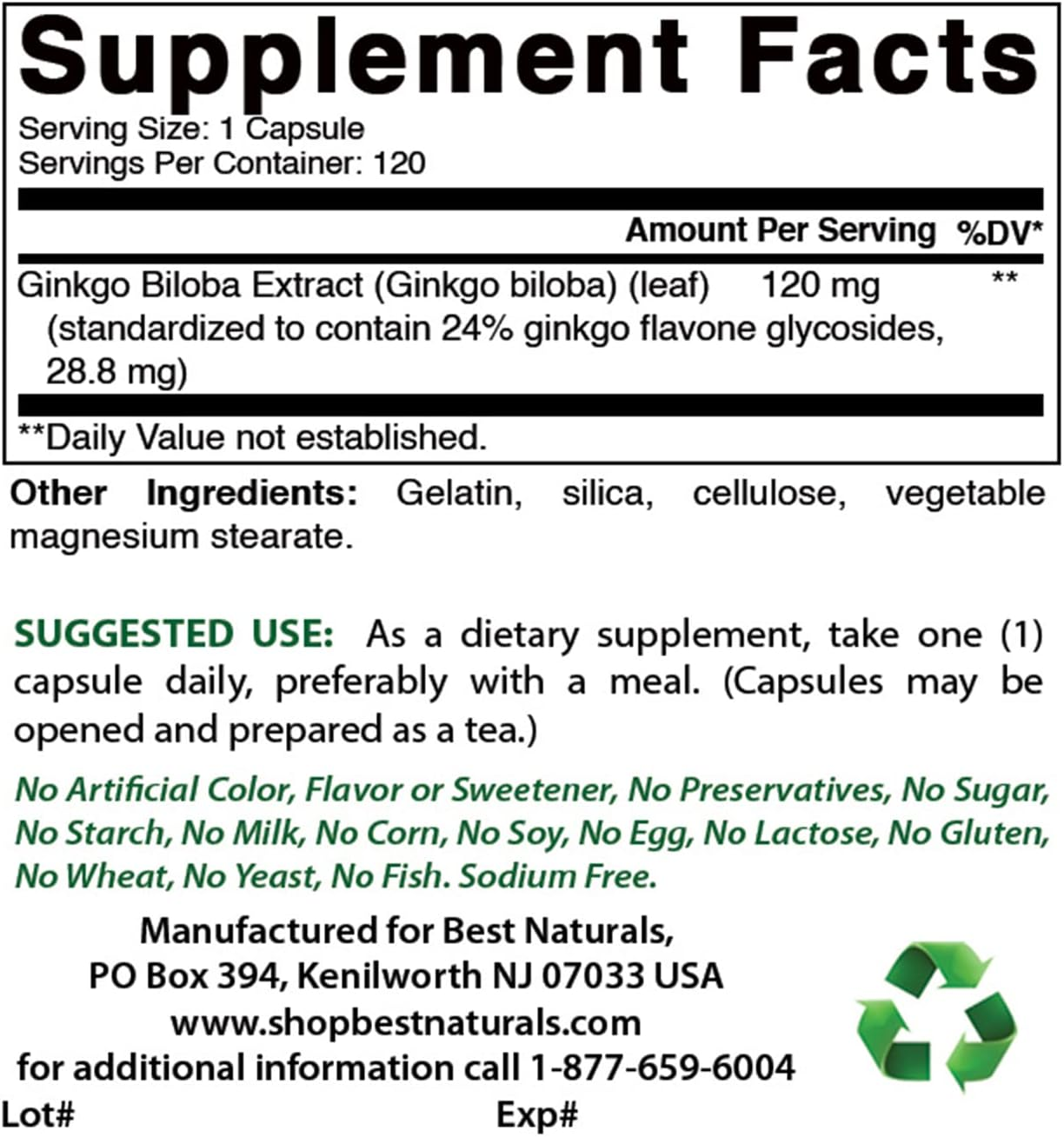 Best Naturals Ginkgo Biloba Extract 120Mg 120 Capsules (120 Count (Pack of 2)) image number 1