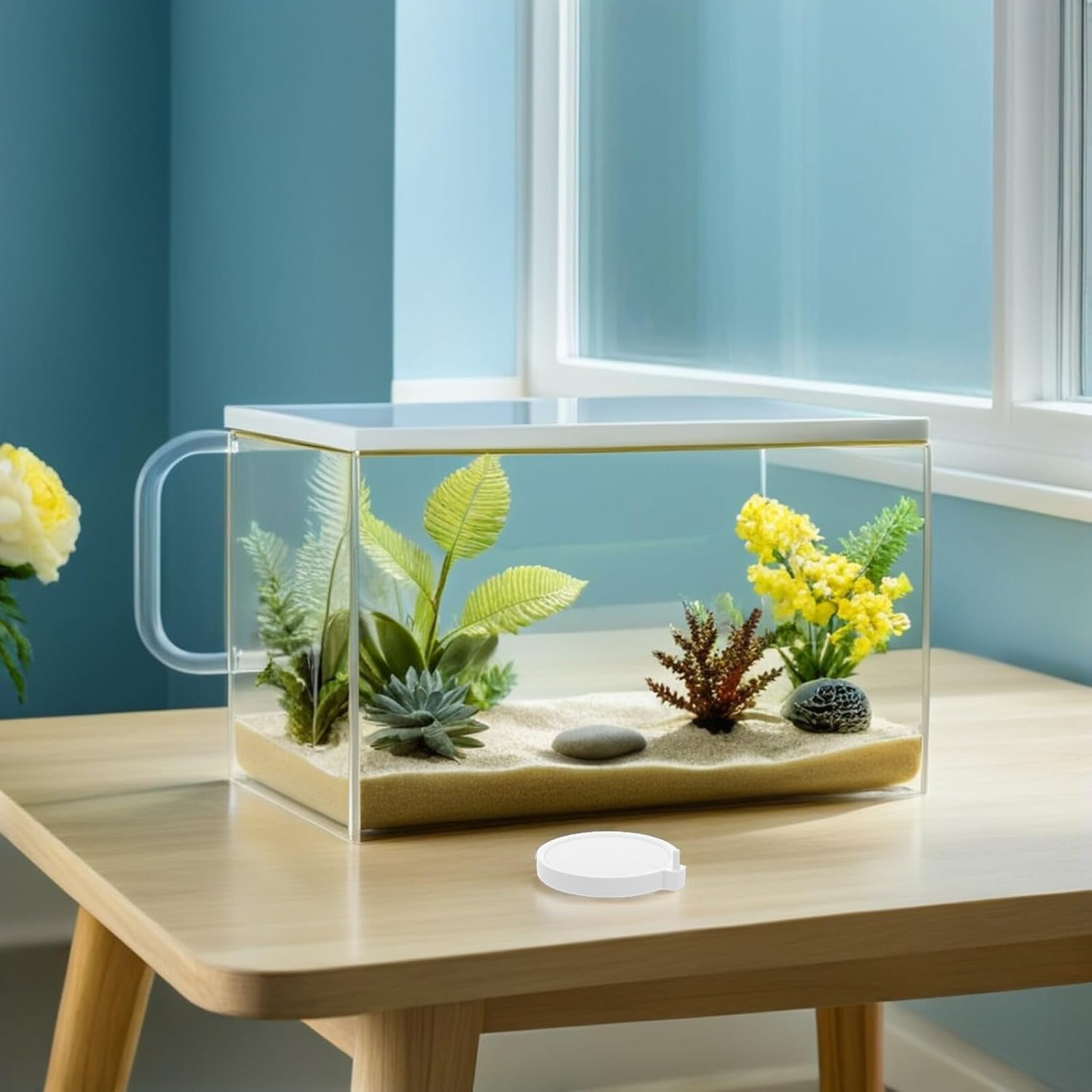 FUTUREORYY 2Pcs Air Stone Aquarium Bubble Diffuser with round Base Bubbler Disc for Fish Tanks Fine Bubble Production Wear-Resistant Material Easy Installation for Aquatic Use image number 4