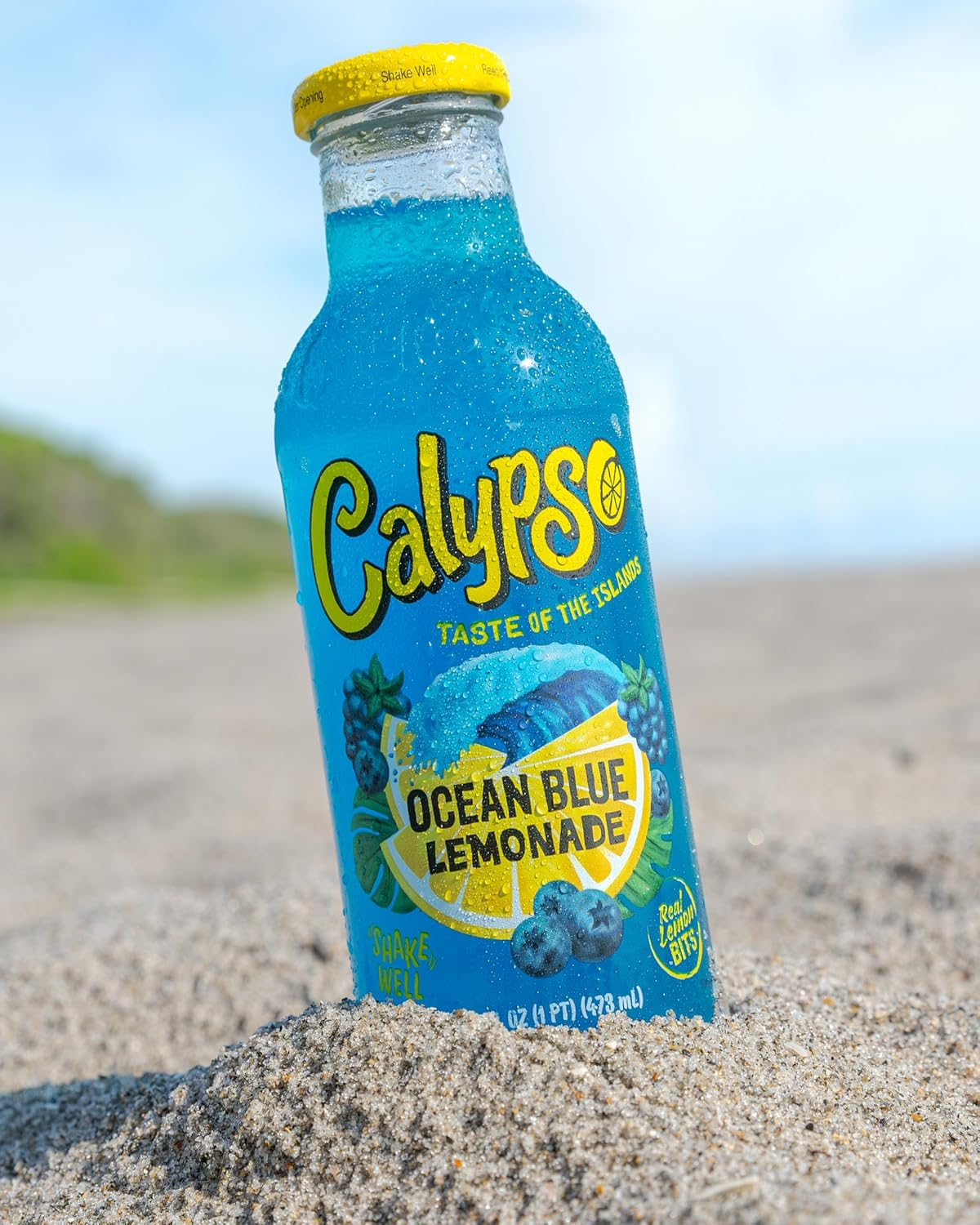 Calypso Ocean Blue Lemonade Drink 473 Ml (Pack of 12) image number 5