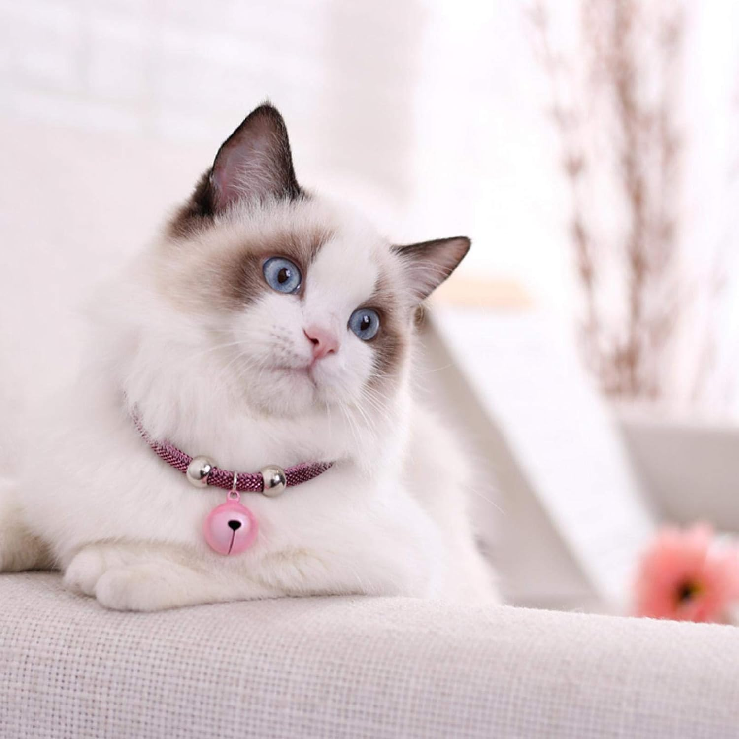 EVTSCAN Japanese Style Pet Collar Nylon Accessory Bell Collar for Cats with Extension Chain (Pink)