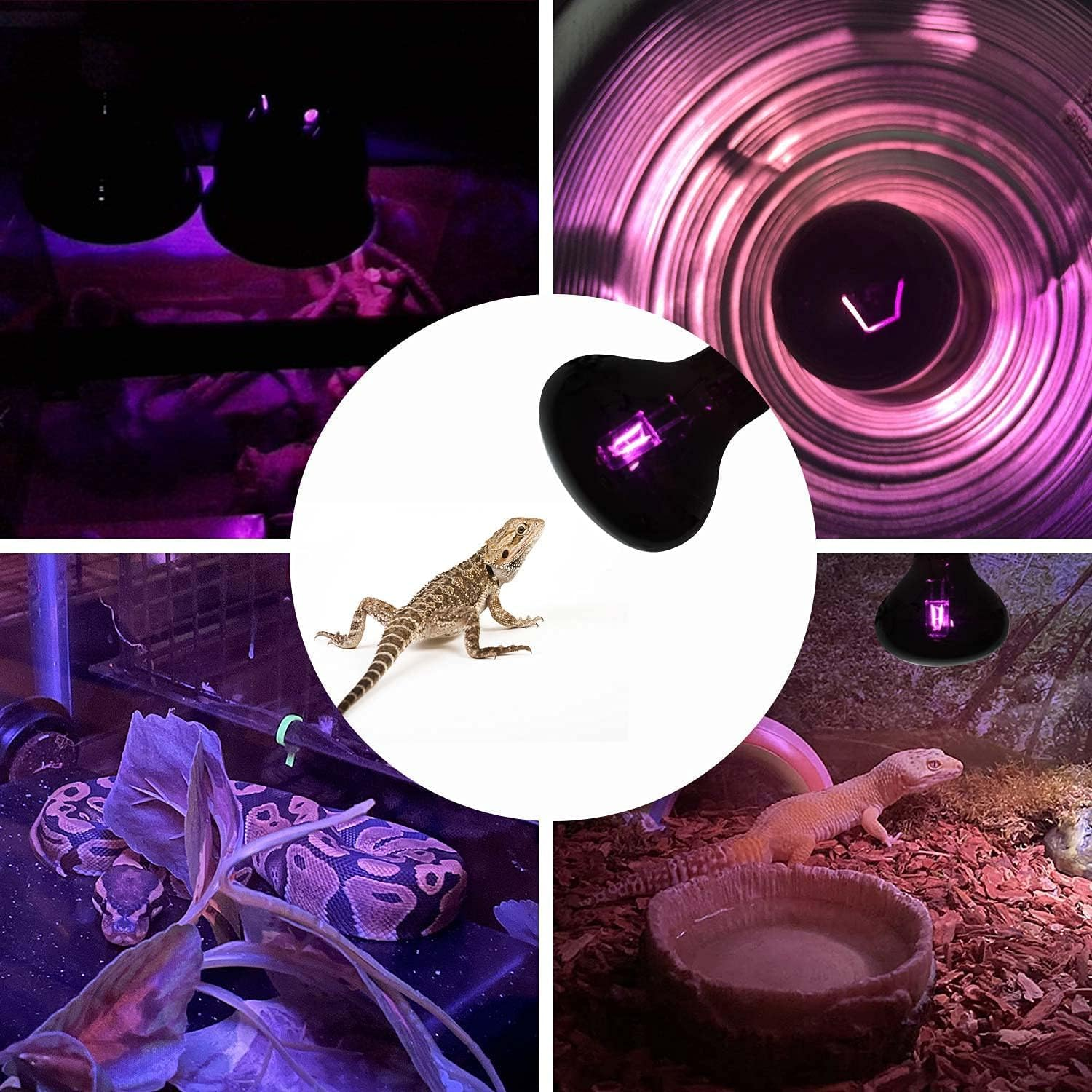 100W Infrared Heat Lamp Bulb, UVA Night Heat Bulb, Moonlight Light Glass Heating Lamps Bulbs, for Lizard Snake Chameleon Bearded Dragon Aquarium Reptile & Amphibian image number 4