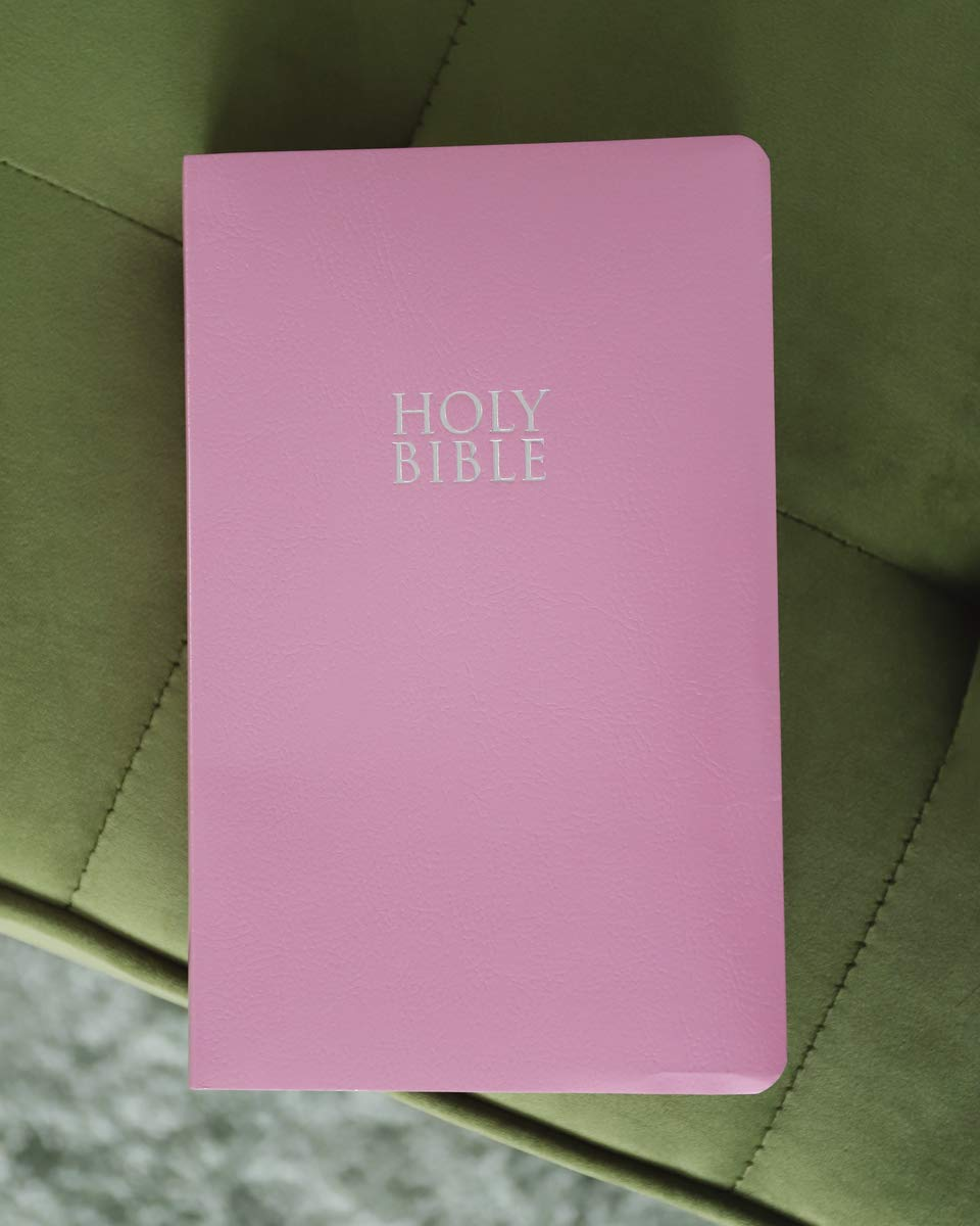 NIV Gift and Award Bible Red Letter Edition [Pink] image number 3
