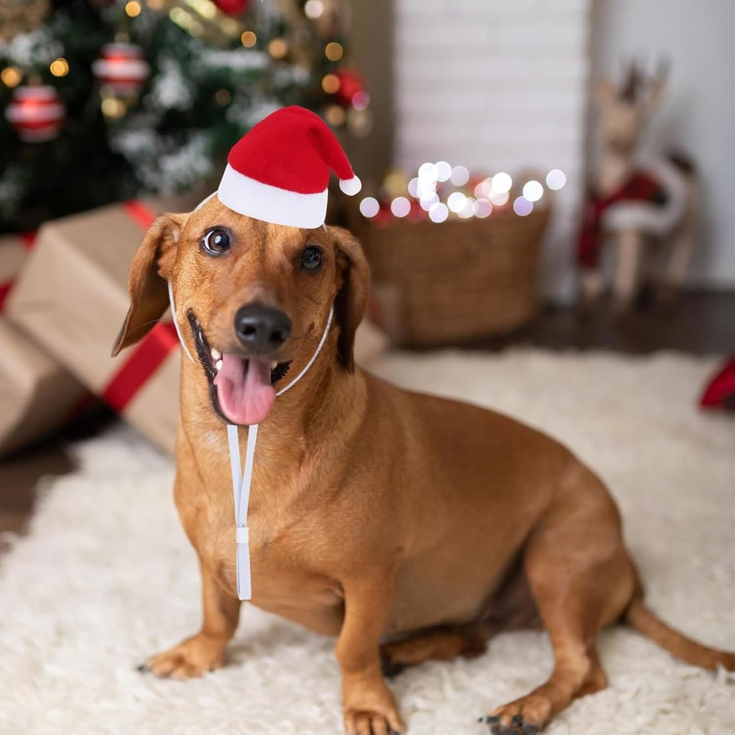 Itadaku 6 Pieces Pet Christmas Santa Hats, Striped Holiday Party Costumes for Cats and Dogs, Cute Dress-Up Accessories for Puppy and Kitten Christmas Cosplay image number 2