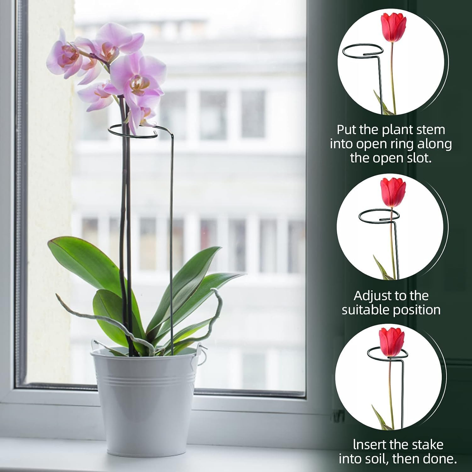 Limcryspp 12 Plant Support Posts and 24 Plant Clips, Single Stem Support Post, Plant Cage Support Ring, Garden Flowers, Roses, Tomatoes, Peonies, Lilies, Roses, Herbs, Vegetables and Other Plants image number 4