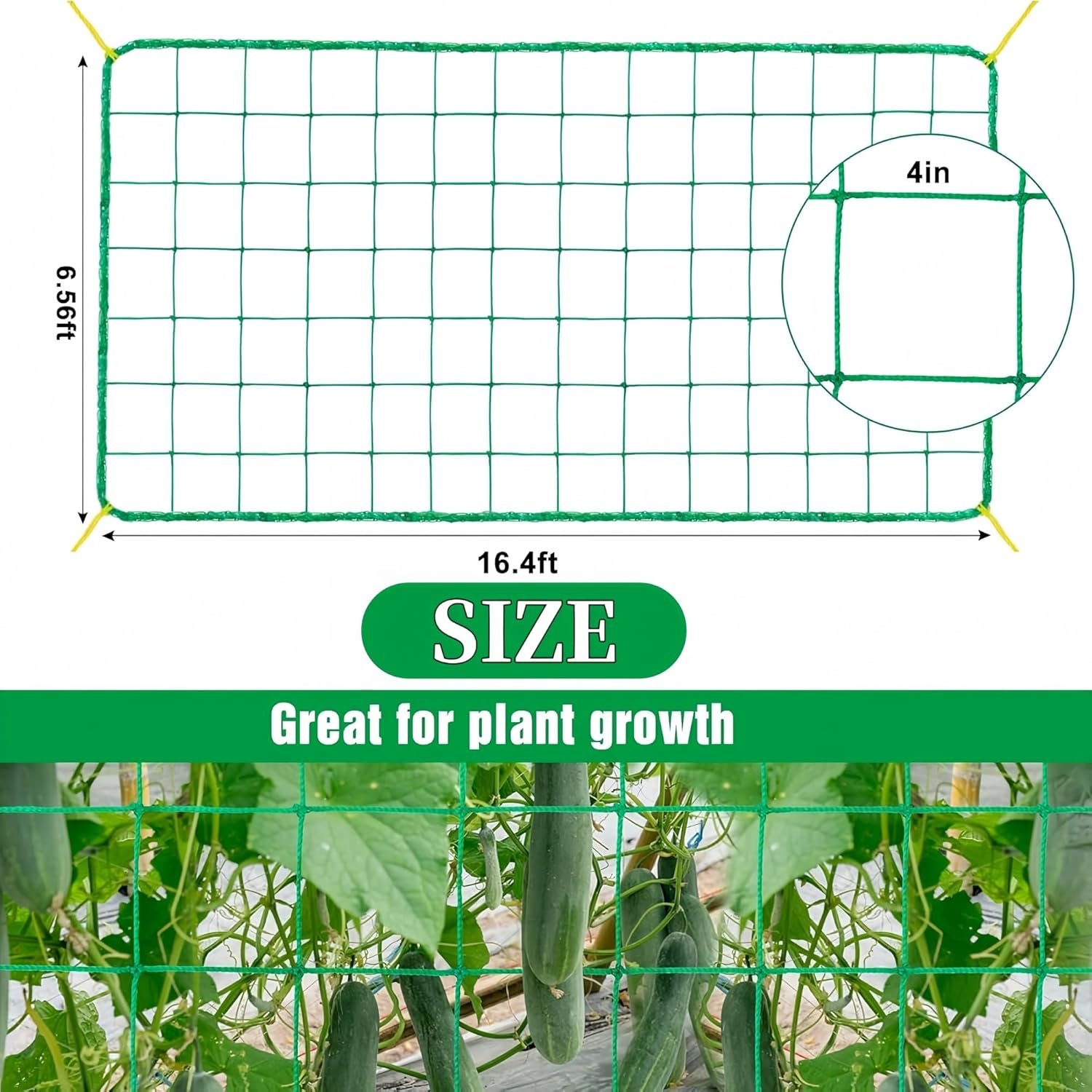 Trellis Netting for Climbing Plants,Heavy Duty 6.6X16.4Ft Garden Trellis Net - 27 Strands & 4X4In Mesh for Cucumbers, Vines, Tomatoes, Fruits & Vegetables | Durable Support for Climbing/Vining Plants image number 6
