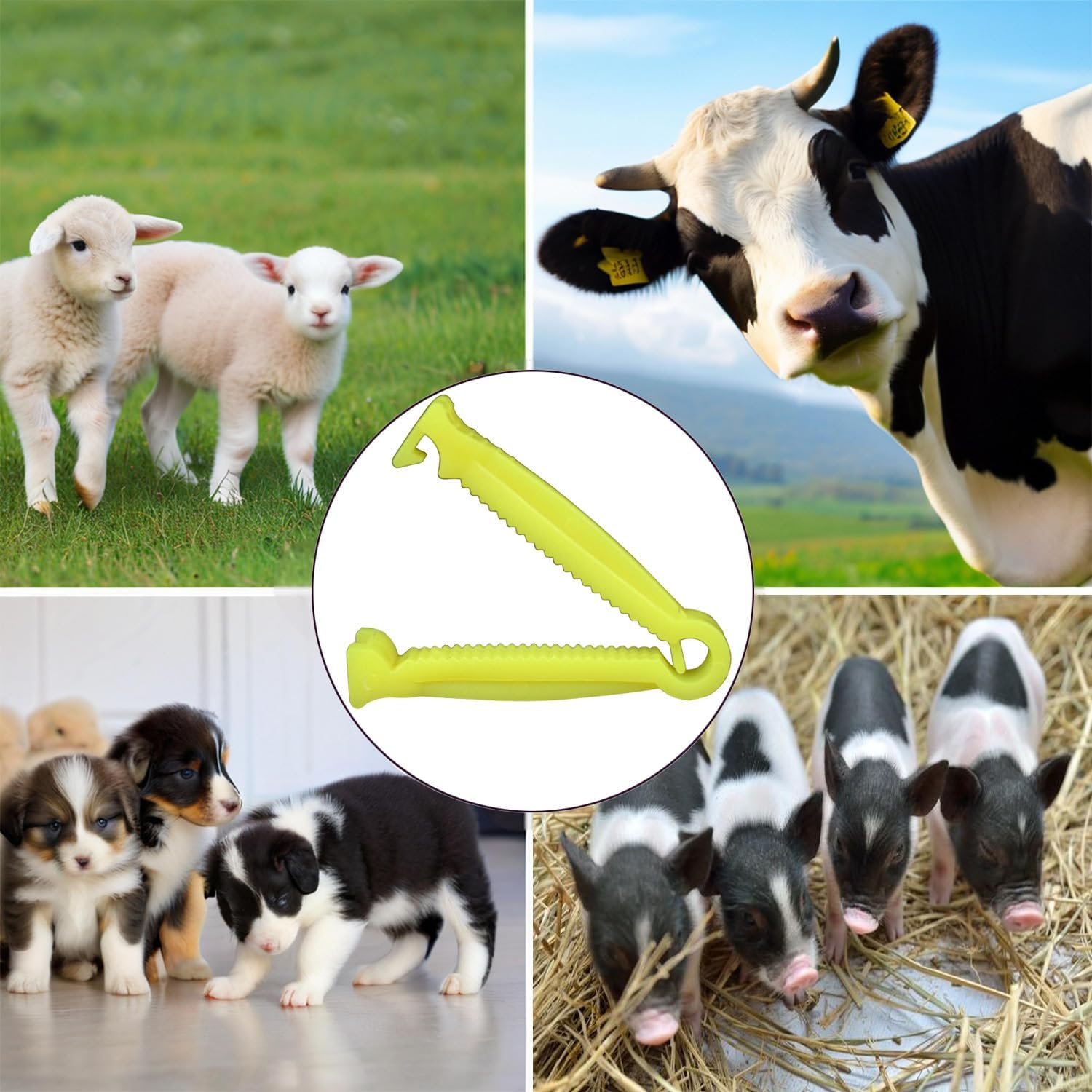 100Pcs Animal Umbilical Cord Clamps - Veterinary Grade Yellow Whelping Clips for Puppy/Piglet/Kitten/Livestock Birth Assistance, Farm Whelping Kit for Aussie Sheep/Cow/Dog Delivery image number 3