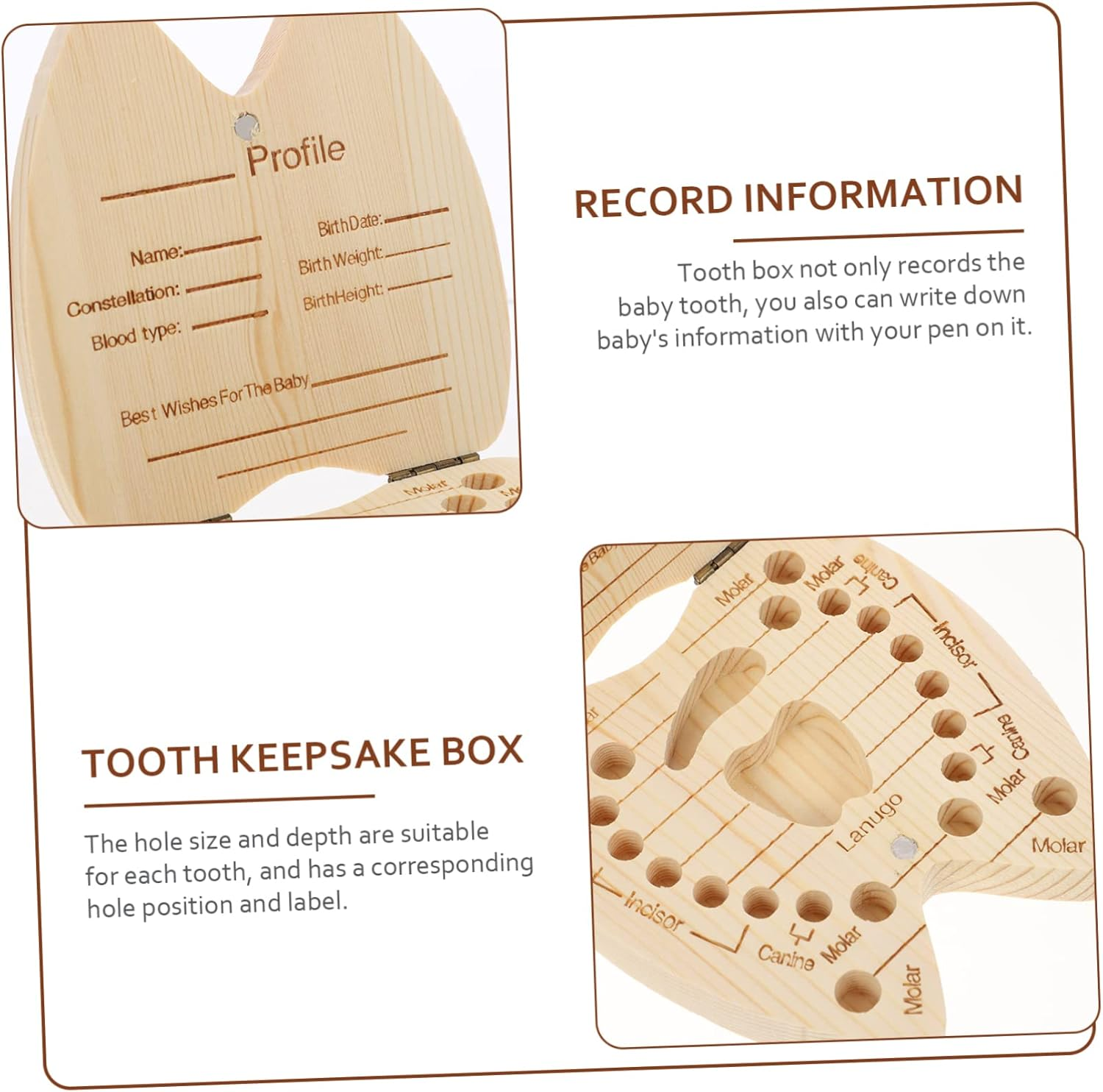 Teeth Storage Box Keepsake Box for Lost Teeth for Boys and Girls Holder for Girls and Toddlers image number 6