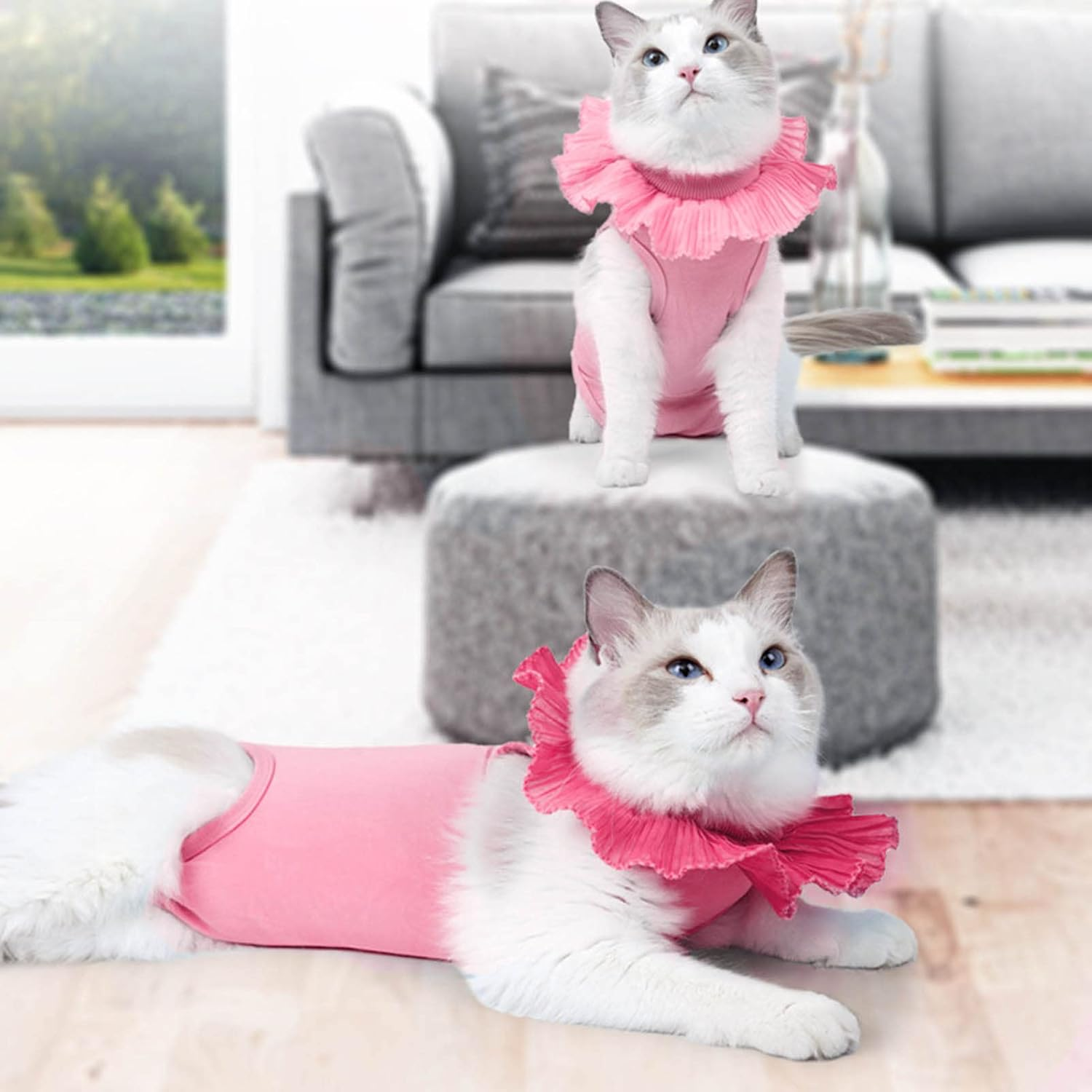 Cat Recovery Suit, Lace Neckline Cat Recovery Shirt with Adjustable Buckle, Kitten Surgry Full Bodysuit Bandages Cone E-Collar Alternative for Cats Kitten (M) image number 6