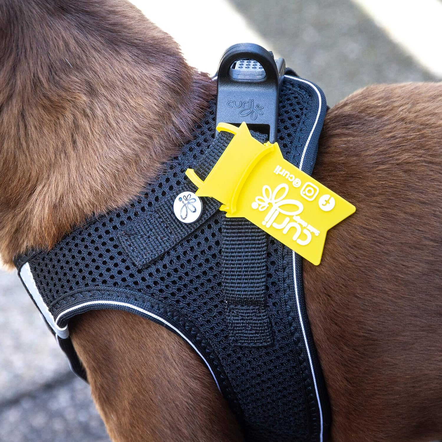 Vest Harness D-Ring Buckle Mandarin L image number 4