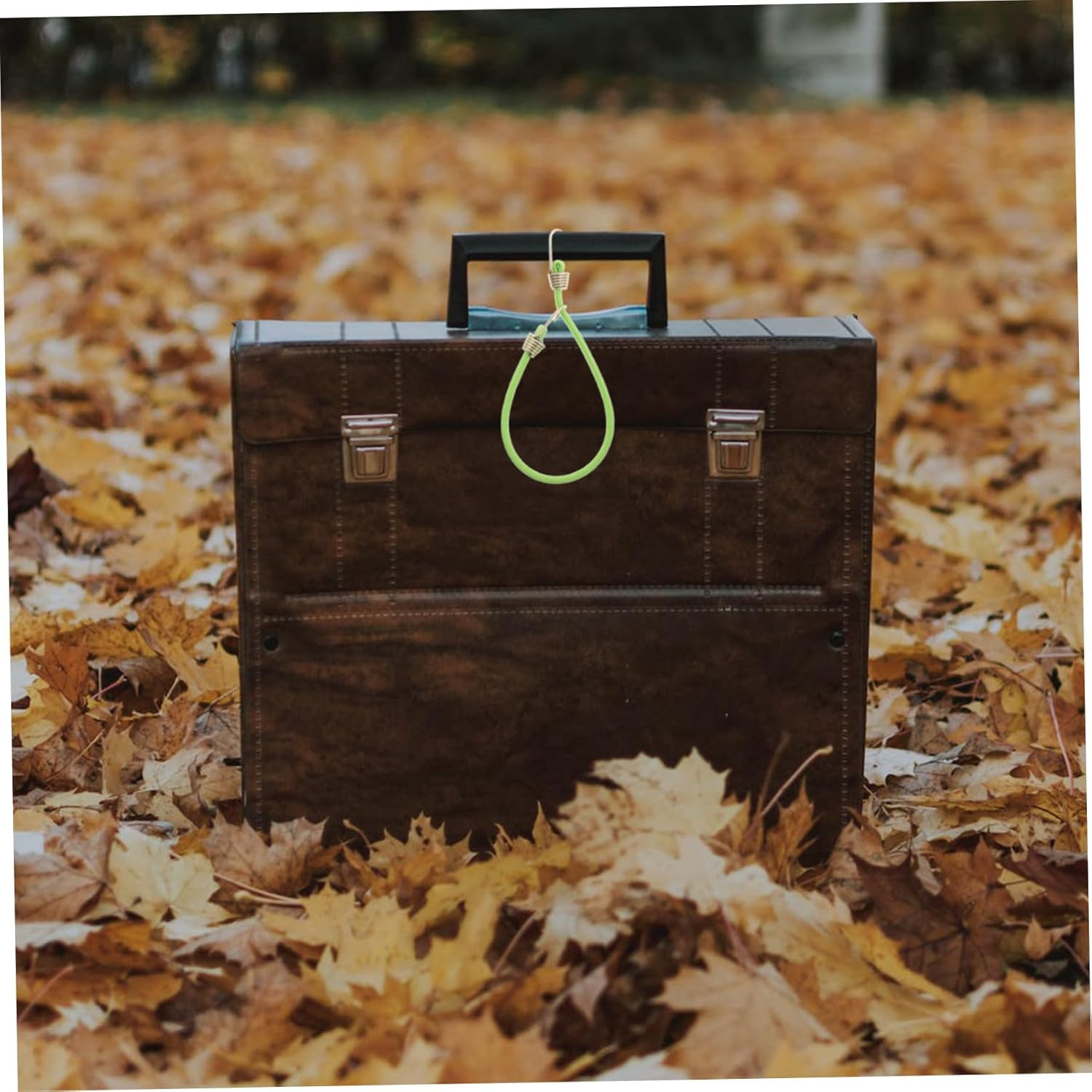 DIKACA 10Pcs Elastic Luggage Straps with Hooks Heavy Duty Fastener Cords for Suitcases Camping Outdoor Use Reusable Mini Travel Belts High Strength Binding image number 5