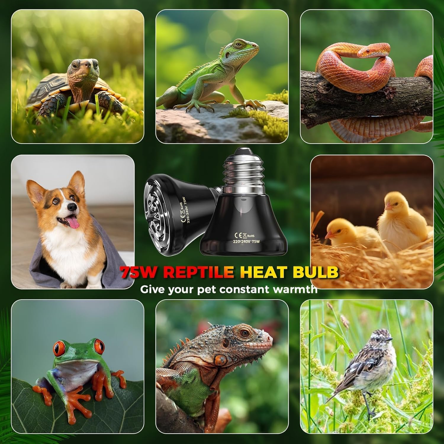 Glowup 75W Reptiles Heat Lamp Bulb,No Light Ceramic Heat Emitter,E27 Black Heatbulb for Reptiles,Ceramic Heat Bulb for Tortoise/Bearded Dragon/Lizard/Snake/Puppies/Aquarium-2Pack image number 6