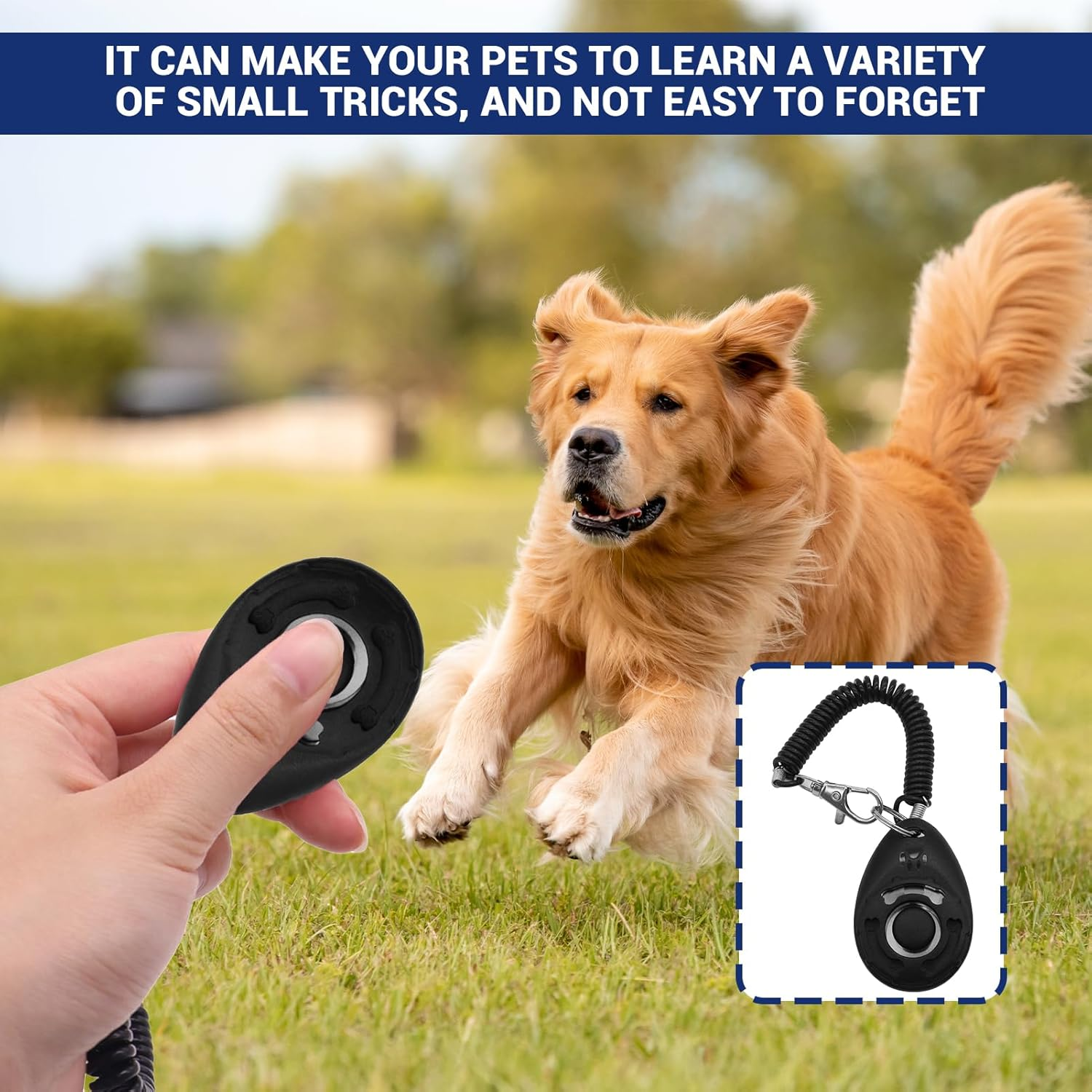 Dog Clicker, 4 Pcs Dog Training Clicker, Dog Buttons, Pet Training Clicker with Wrist Strap, Pet Behaviora Training Tools for Puppy, Cats, Birds, Hamsters, for Pet Lovers (Black&White&Blue&Lake Blue) image number 3