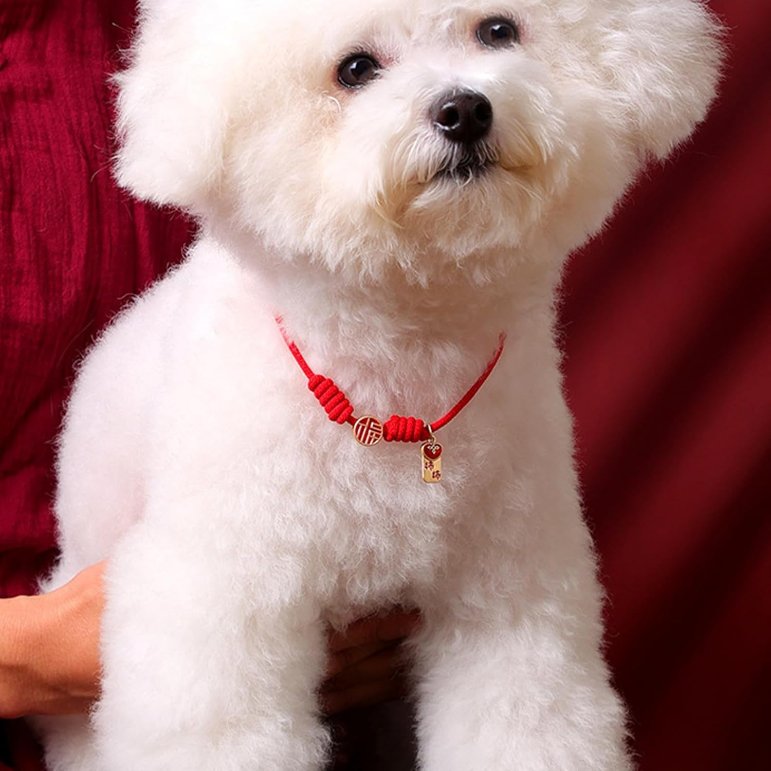 Knit Cat Collar, Handcraft Carefully Woven Adjustable Dog Collar Necklace with Bell, Wedding Cat Collar Pet Supplies Accessories for Girl Boy(S(1.5‑3.5Kg / 3.3‑7.7Lb)-Everything Is Going My Way)