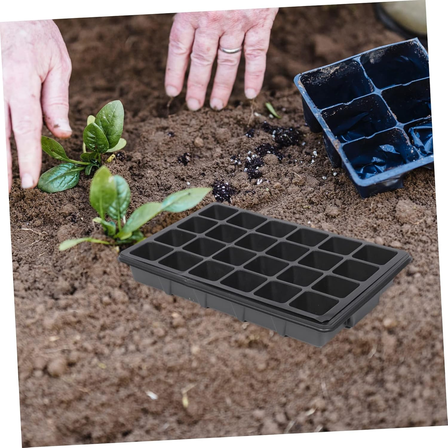 Plant Germination Box Planting Tray for Indoor Gardening 2Pcs 38X23X9Cm with Lid and Cells Waterproof Easy to Clean - Green image number 7