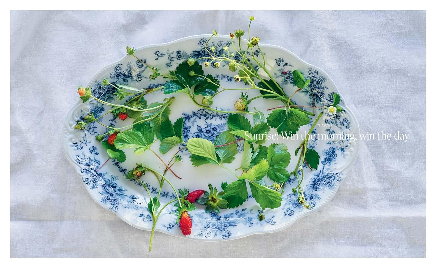 Sunshine, Lemons and Sea Salt: Modern Coastal Home Cooking for Family and Friends from the Beloved Bestselling Australian Author of TOO EASY and BASICS to BRILLIANCE image number 3