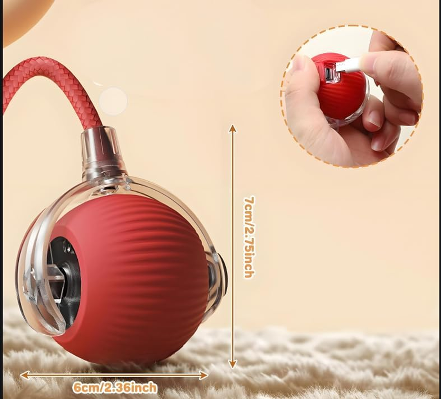 2Pack Cat Ball Kitten Toys for Indoor Interactive Kitty Ball Toy Speedy Tail Rolling(Red Green) and Dog & Cat Nail Clippers with 2Mm & 4Mm Cutting Holes image number 6