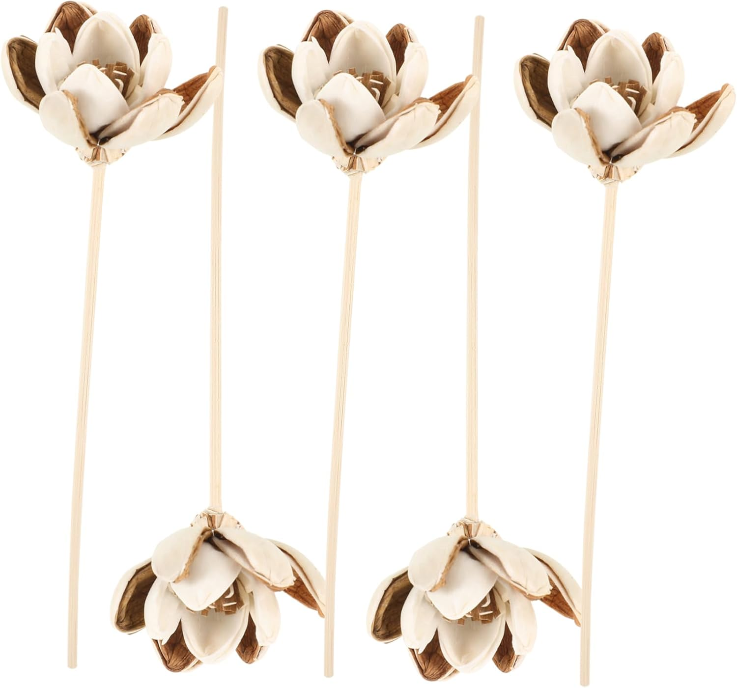 SEWACC 10Pcs Natural Flower Diffuser Sticks Aromatherapy Oil Fragrance for Home Scent Diffuser Bottles image number 4