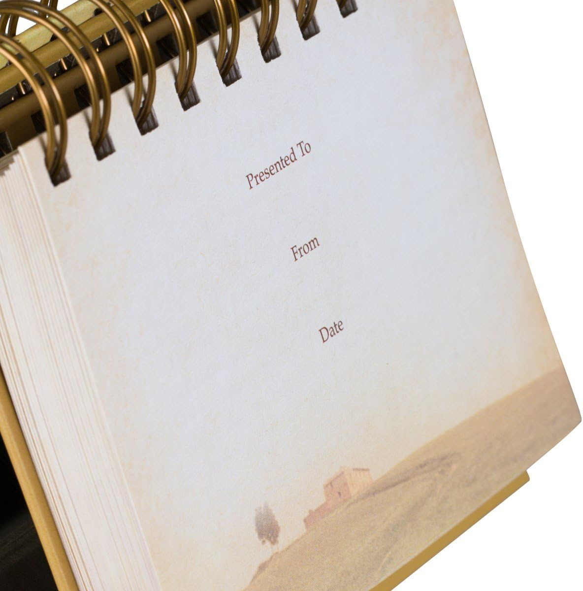 Dayspring God'S Promises Day by Day Daybrightener Perpetual Calendar