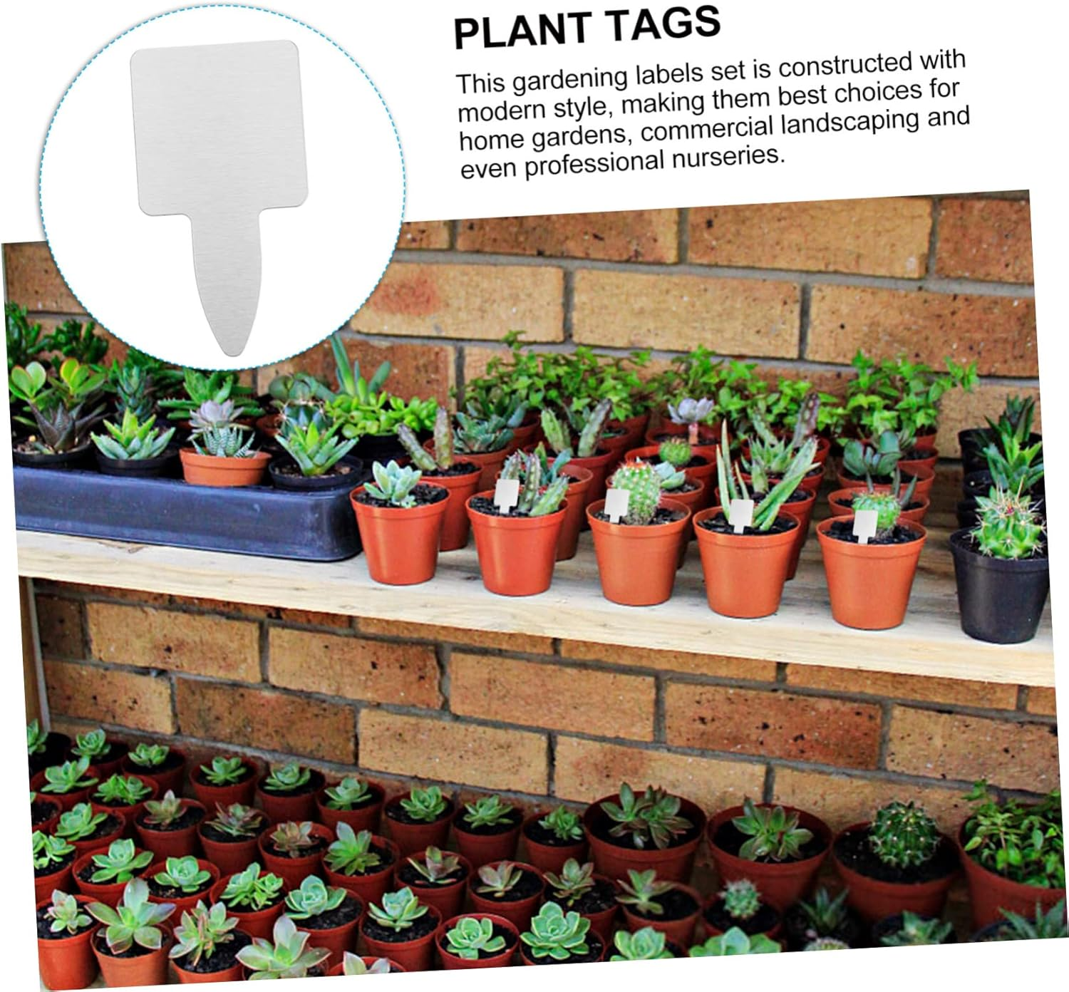 Sosoport 50Pcs Stainless Steel Succulent Labels for Plant Tags Outdoor Garden Markers Thickened Gardening Tags image number 6