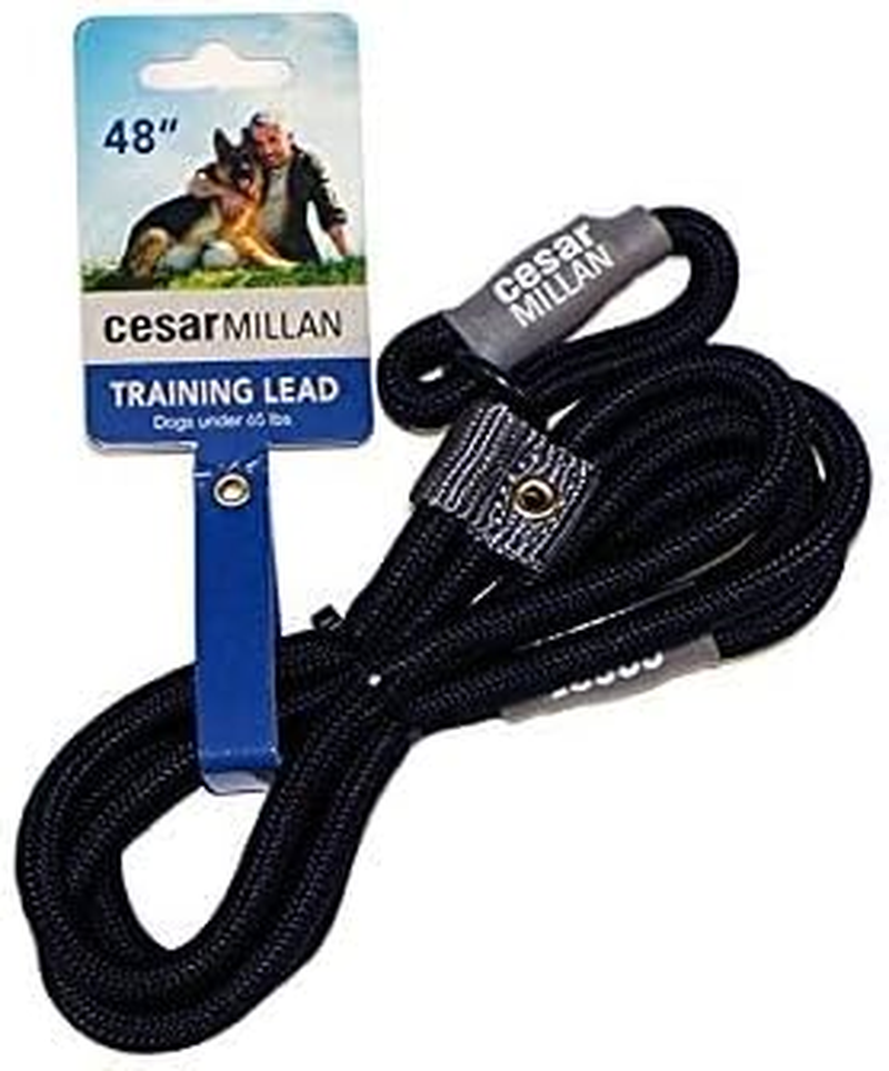 Cesar Millan Slip Lead Leash&trade; - Slip Collar Training Lead Gives You Greater Control and the Ability to Make Quick and Gentle Corrections (Regular, Black) image number 6