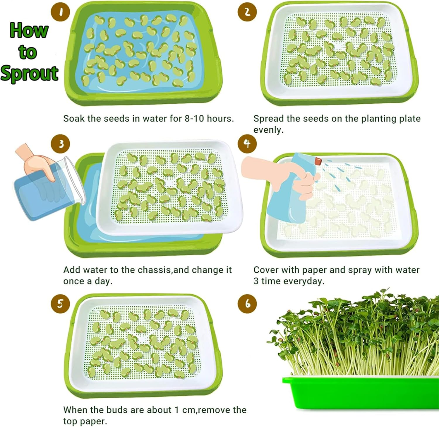 FORYUSE 3 Pack Seed Sprouter Tray with Drain Holes BPA Free PP Soil-Free Wheatgrass Grower with Lid Microgreens Germination Sprouting Kit for Garden Home Office image number 4