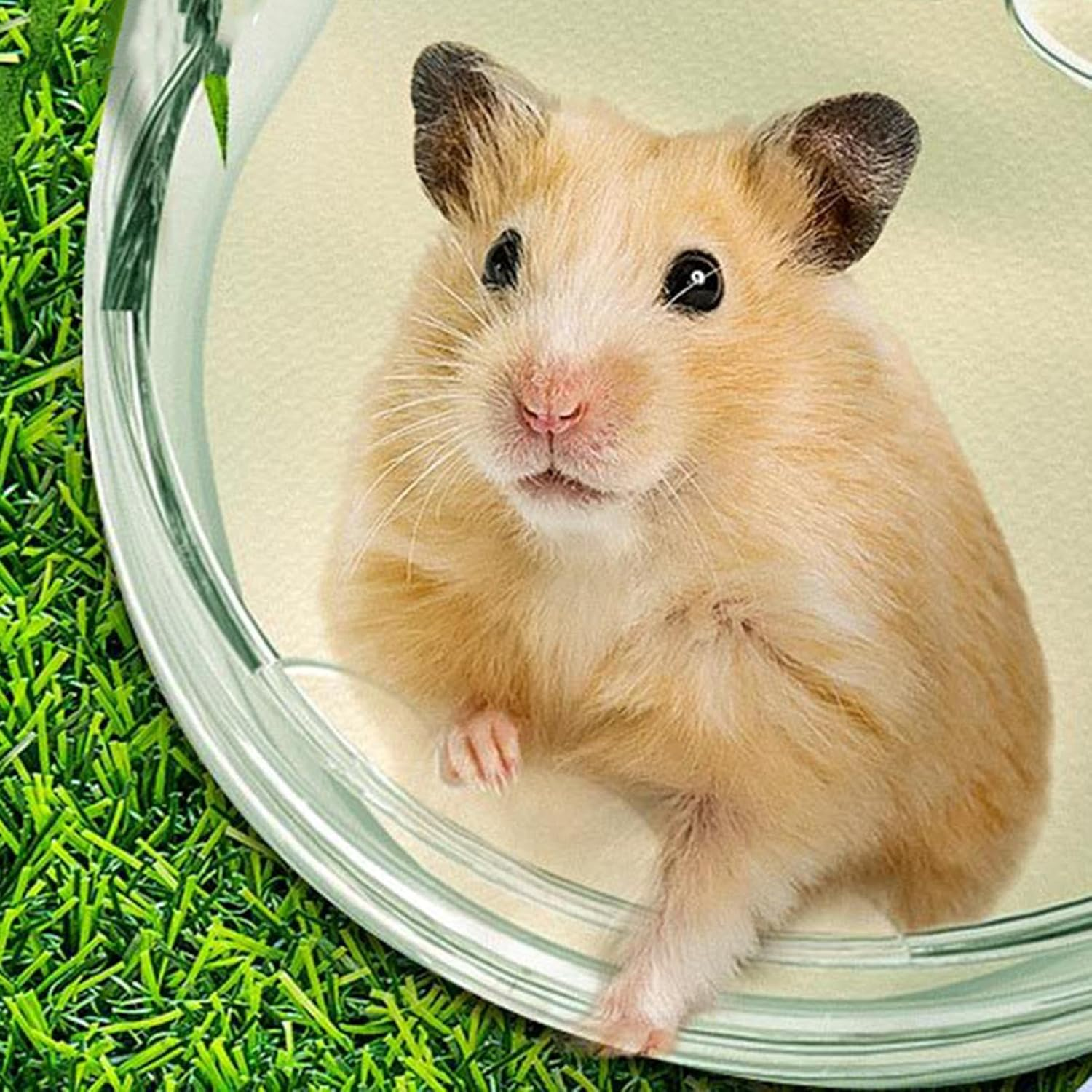 Hamster Sand Bath Container - Small Animal Bathtub with Sand Shovel, Small Animal Bathtub with Sands Shovel Transparent Gerbil - Hamster Bathing Bowl for Smalls Animall Hamsterr Gerbil image number 3