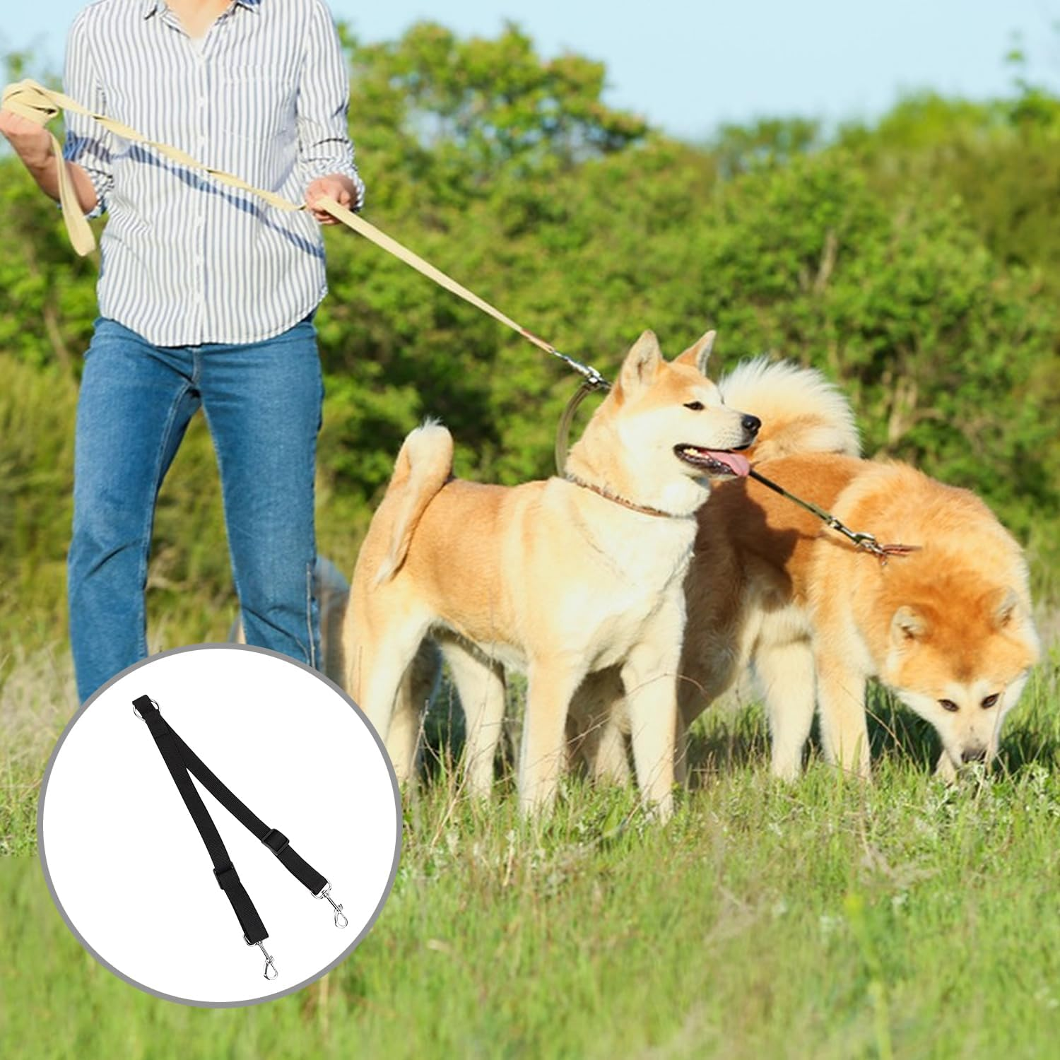 Double Dog Lead, Double Ended Lead for Dogs, Adjustable and Tangle-Free, Durable Nylon, Reflective Stitching for Night Safety, Dual Dog Leash for Walking Two Dogs, Comfortable Grip, Training Lead image number 4