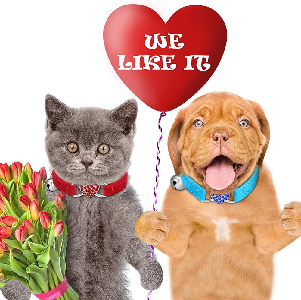 Cat Collar Suede Kitten Pet Safety Elastic Adjustable Bell Heart Bling Purple - Pink image number 2