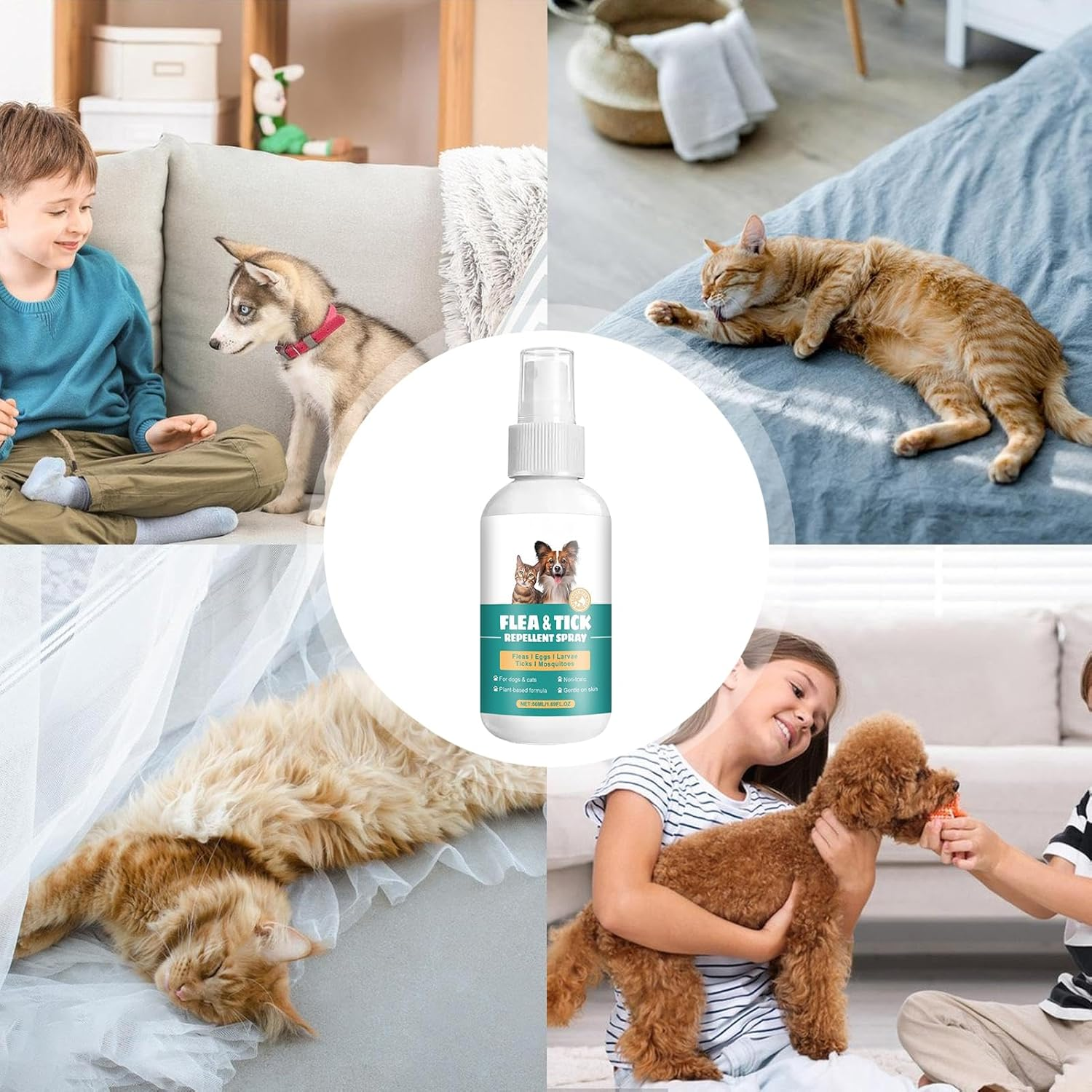 Dog Itch Spray | Itch Tick Natural Spray,Long-Lasting Safe Fast Acting Effective Pet Supplies for Irritated Skin Itching Pets Puppy Kittens Cats image number 2
