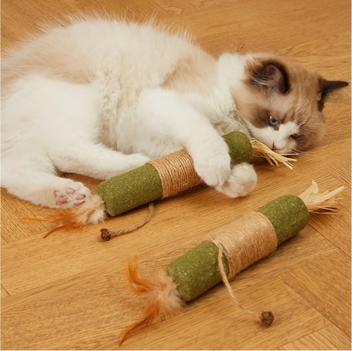 2PCS Cat Molar Scratch Toys, Self Play Extended Catmint Toys with Silvervine Gall Fruit, Natural Catnip Kittens Cat Chew Toy for Teeth Cleaning, Interactive Cat Dental Stick for Cat Kitty image number 4