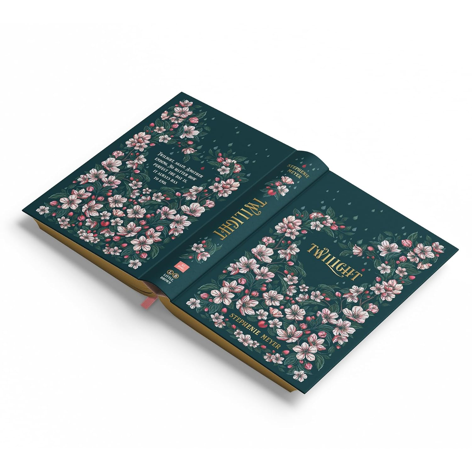 Twilight: Twilight, Book 1 image number 1