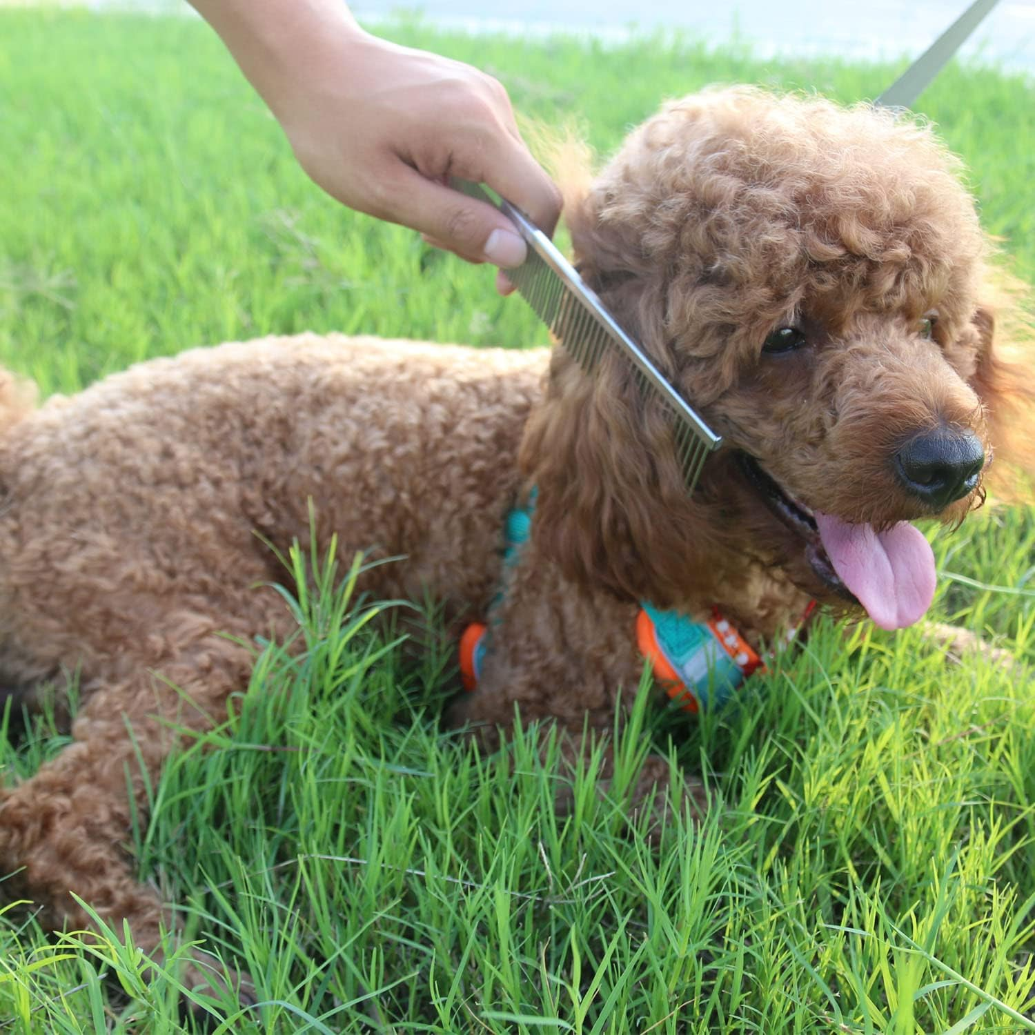 ROPO Pet Steel Combs Dog Cat Comb Tool for Removing Matted Fur - Pet Dematting Comb with Rounded Teeth and Non-Slip Grip Handle - Prevents Knots and Mats for Long and Short Haired Pets image number 6