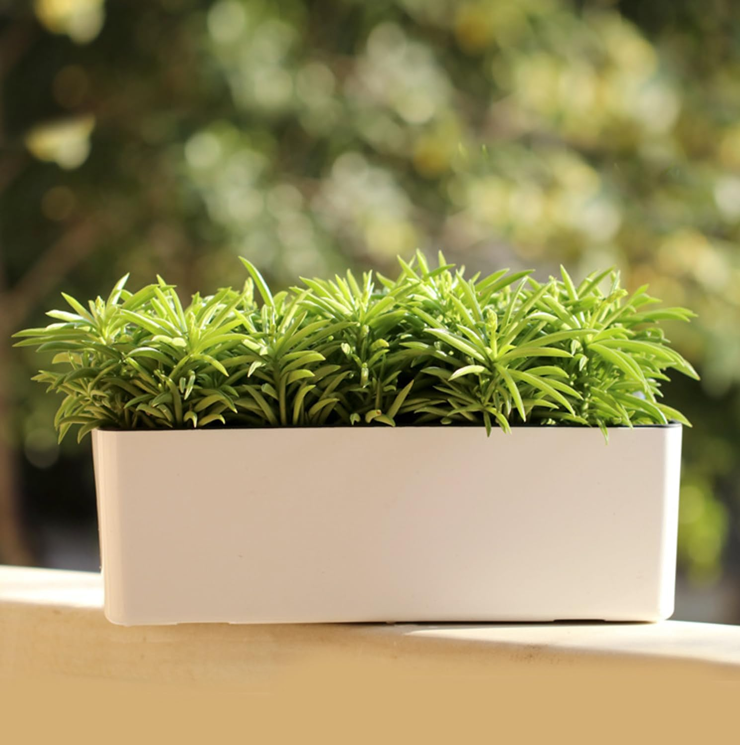 Self Watering Planters Rectangular Window Herb Planter Box for Indoor Plants Garden Balcony, Window Sill Planters with Water Gauge Indicator (2Pcs) image number 6