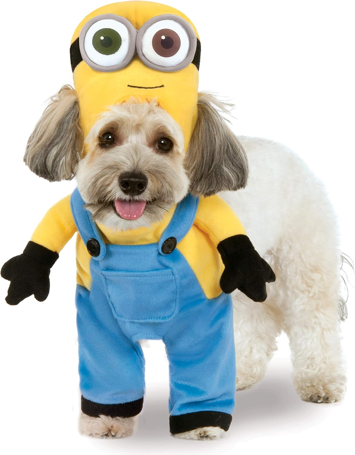 Rubies Costume Company Minion Bob Arms Pet Suit, Multicolor image number 4