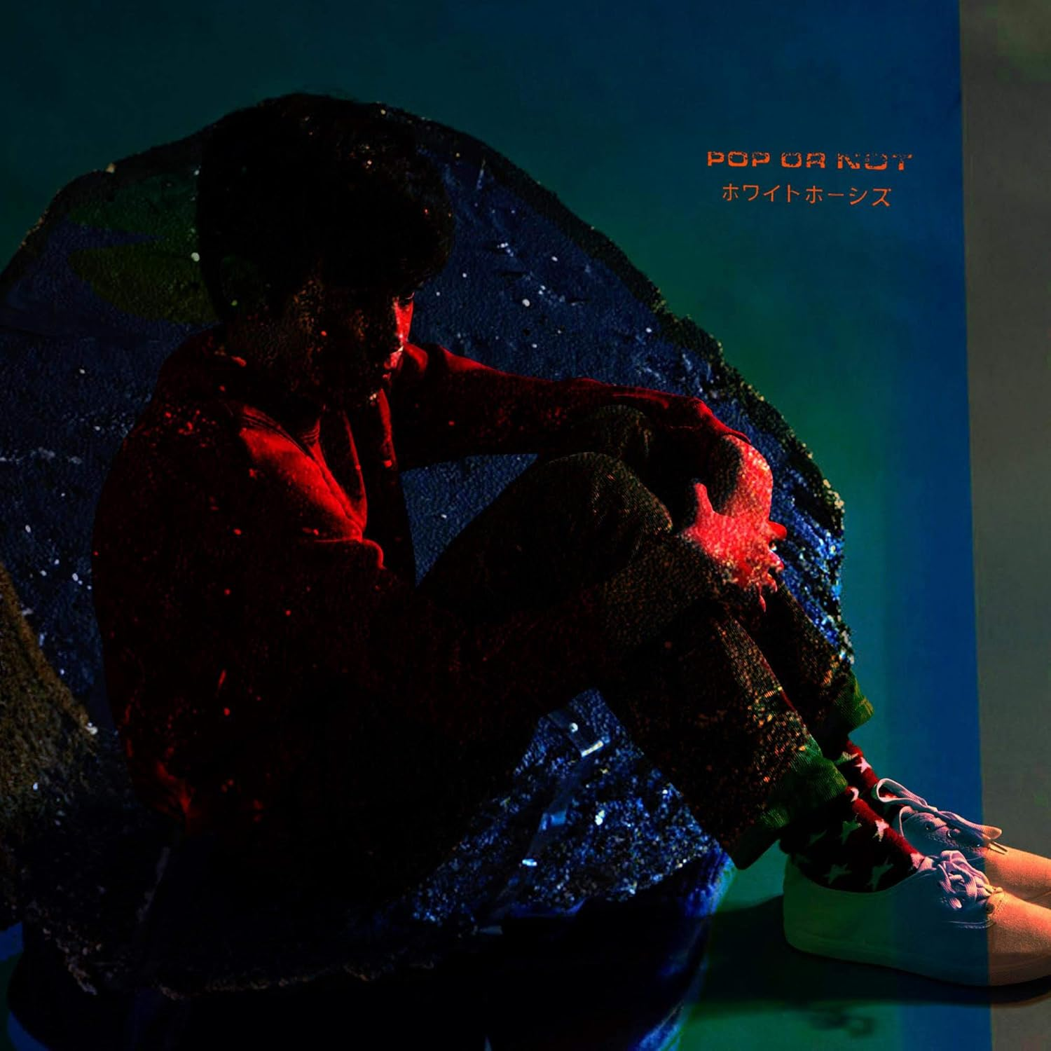 Pop or Not image number 1