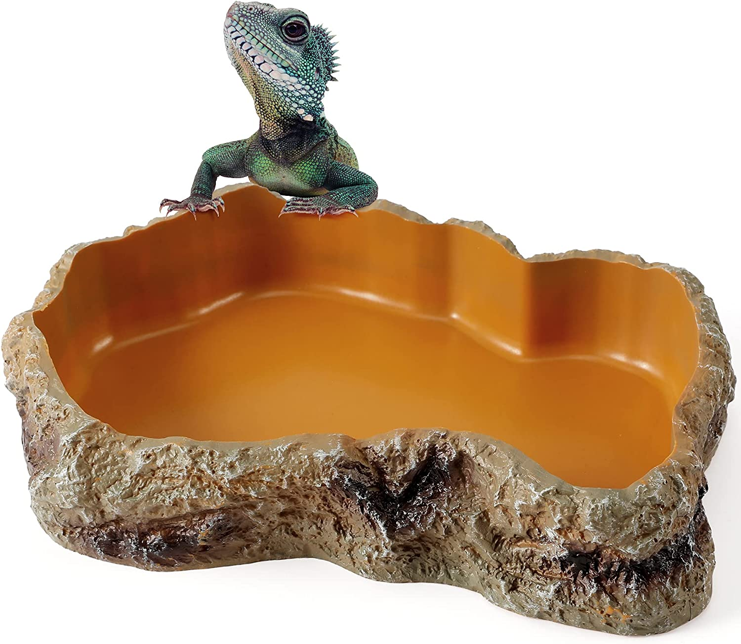 Ceramic Reptile Bowl - Mealworms & Cricket Dish for Gecko, Bearded Dragon & Chameleon - Xl(5In) Anti-Escape Feeder