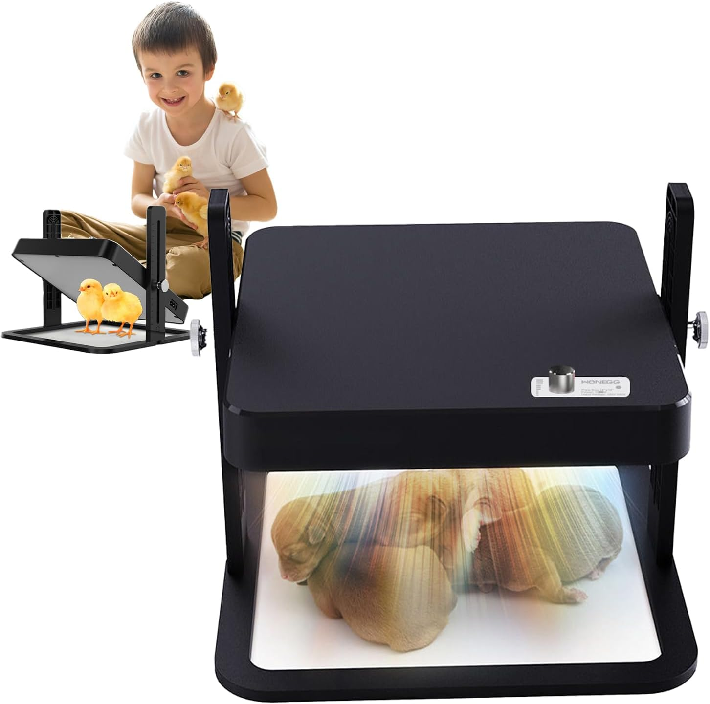 Chicken Cutlet Heater, Adjustable Height and Angle Chicken Cutlet Heating Plate, 10 "X 10" Angle Adjustable Chicken Heater, Suitable for Chicken Warming Pads for Ducklings, Quails, and Birds image number 1