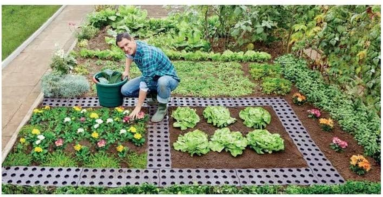 Garantia Vegetable Garden Maxi Board (Pack of 4)