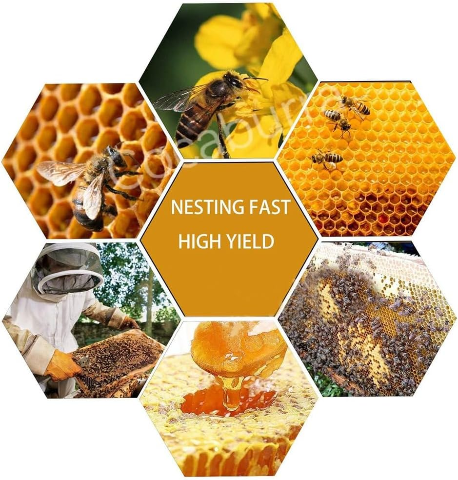 30Pcs Bee Hive Foundation Sheets, Deep Beeswax Foundation Sheets for Bee Frames Beekeeping Tool 41.5X19.5Cm image number 3