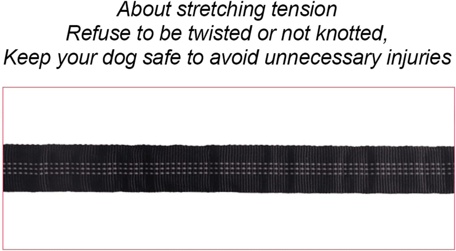 One Tow Two Leash 2 Dog Rope Elastic Cushion Dog Leash Dog Walking Leash Dog Belt Double Lead image number 6